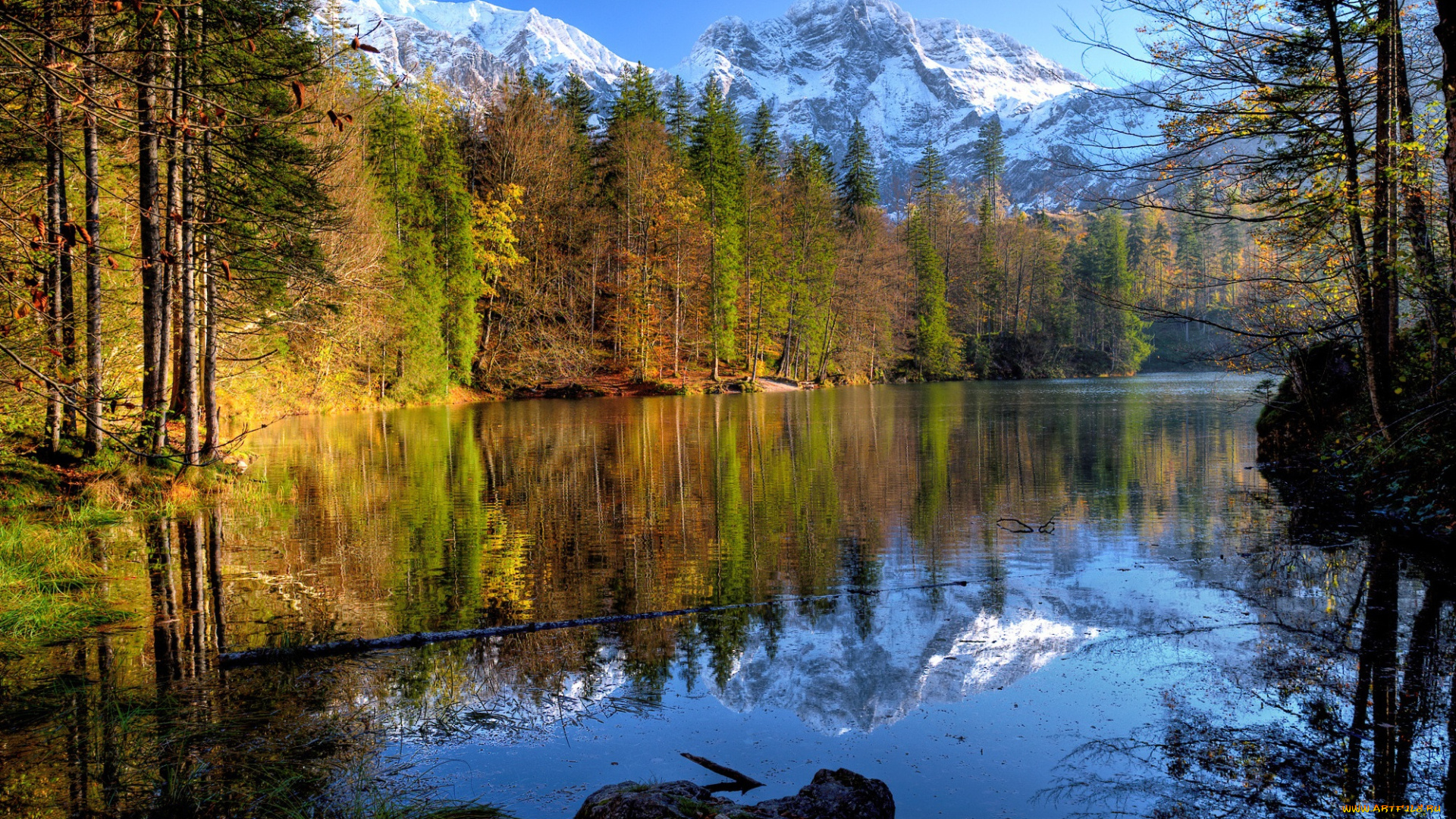 природа, реки, озера, река, лес, горы