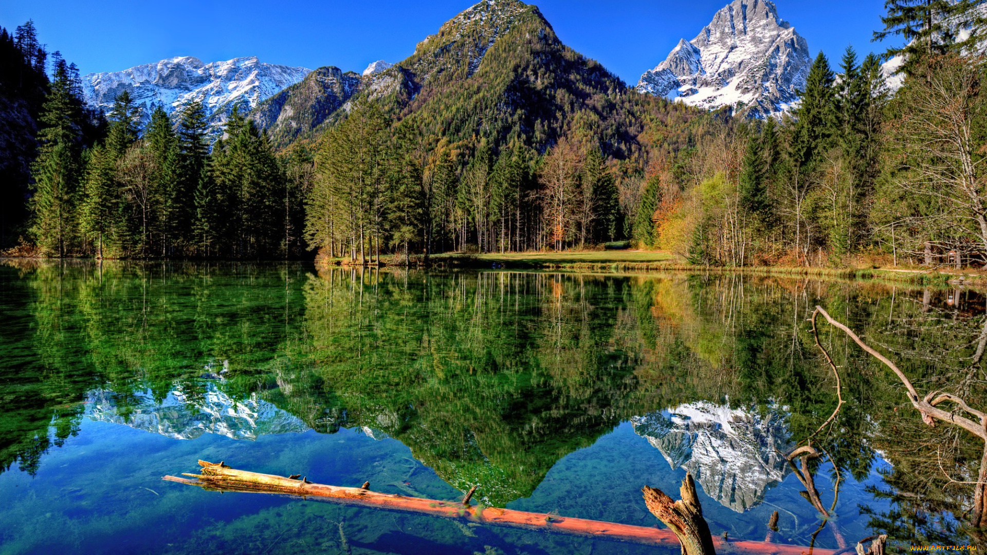 природа, реки, озера, река, лес, горы