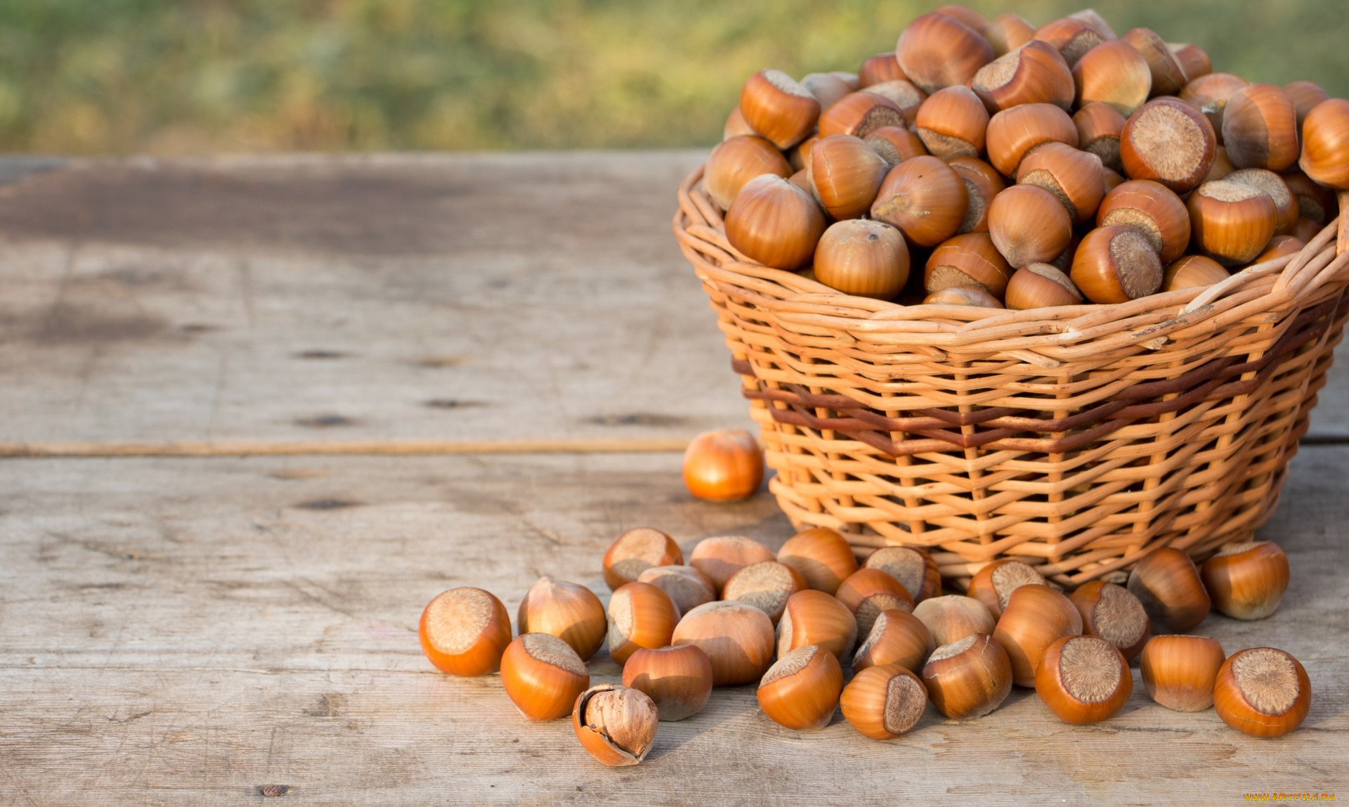 еда, орехи, , каштаны, , какао-бобы