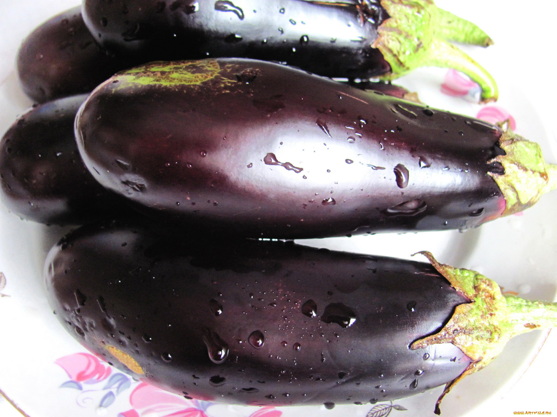 еда, баклажаны, макро, капли