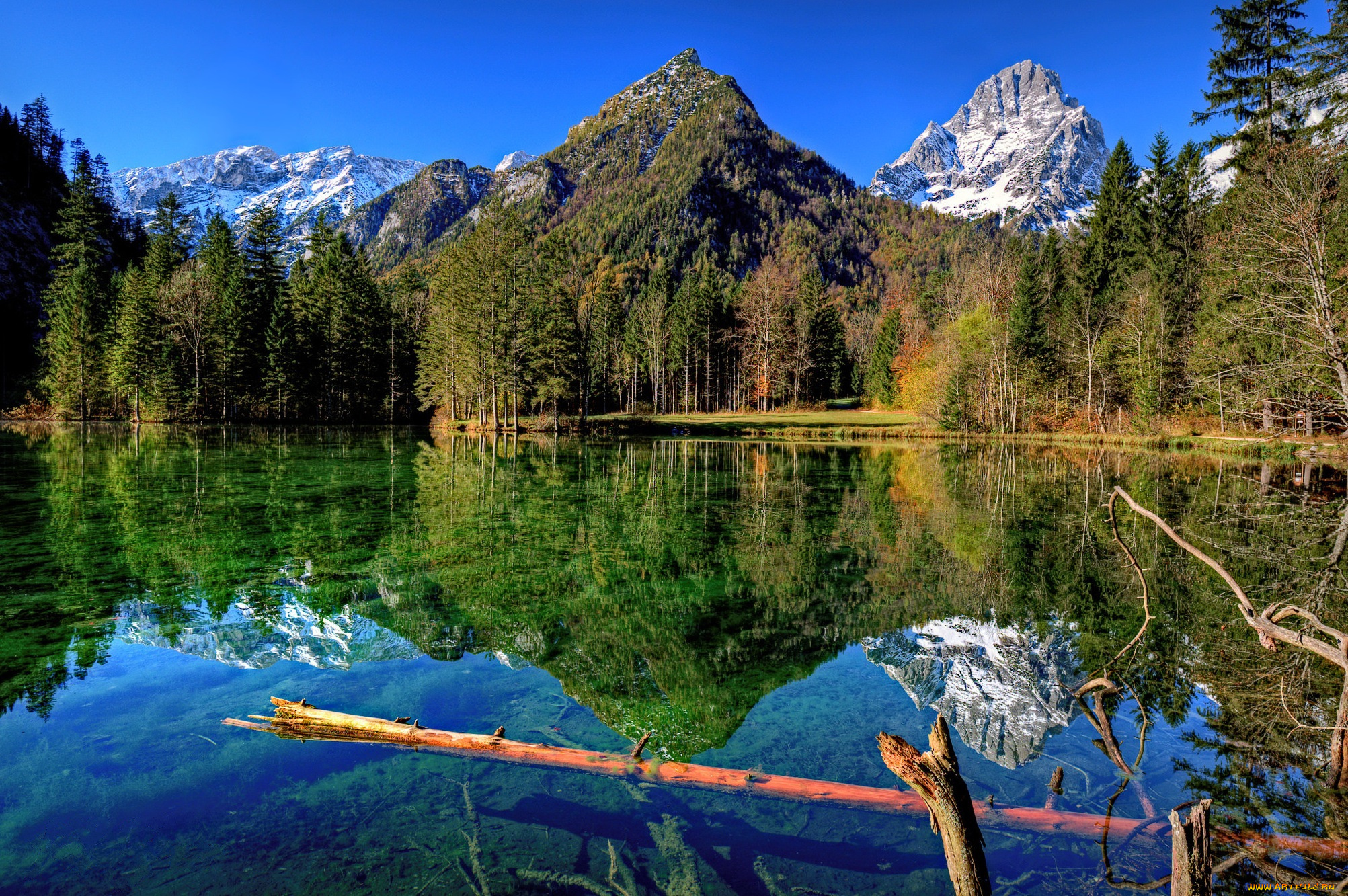 природа, реки, озера, река, лес, горы