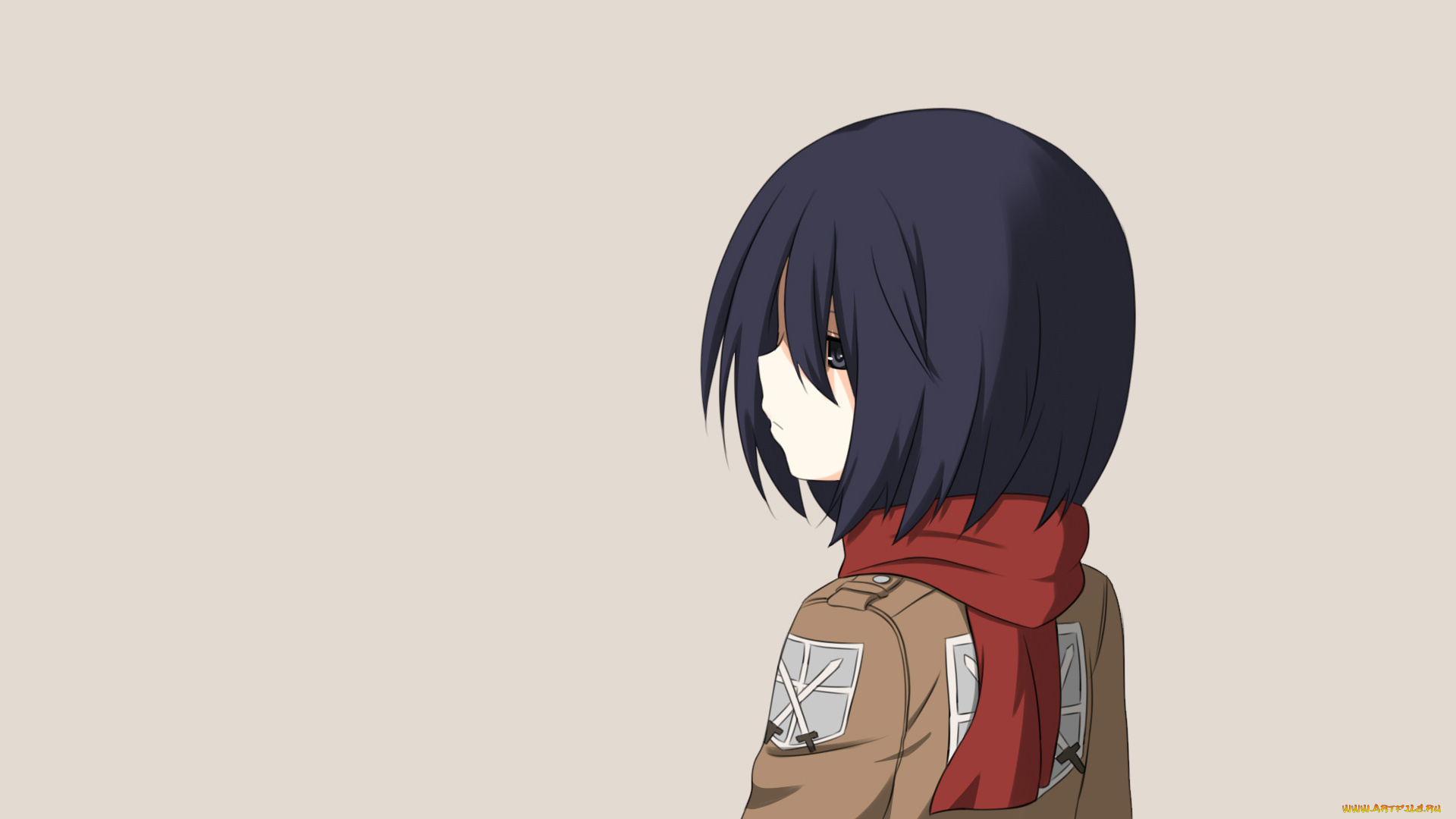 аниме, shingeki, no, kyojin, девушка, взгляд, фон