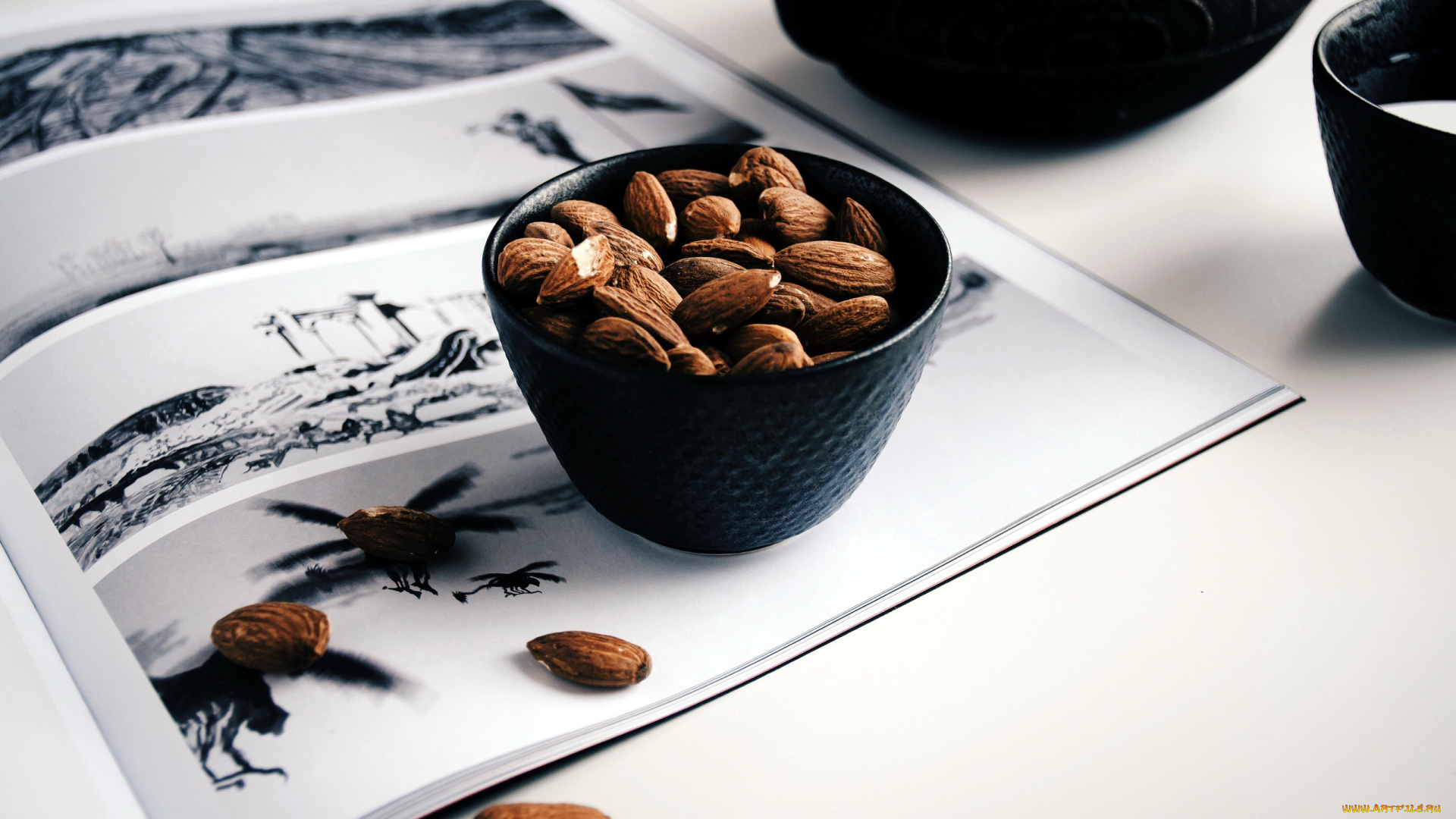 еда, орехи, , каштаны, , какао-бобы, миндаль