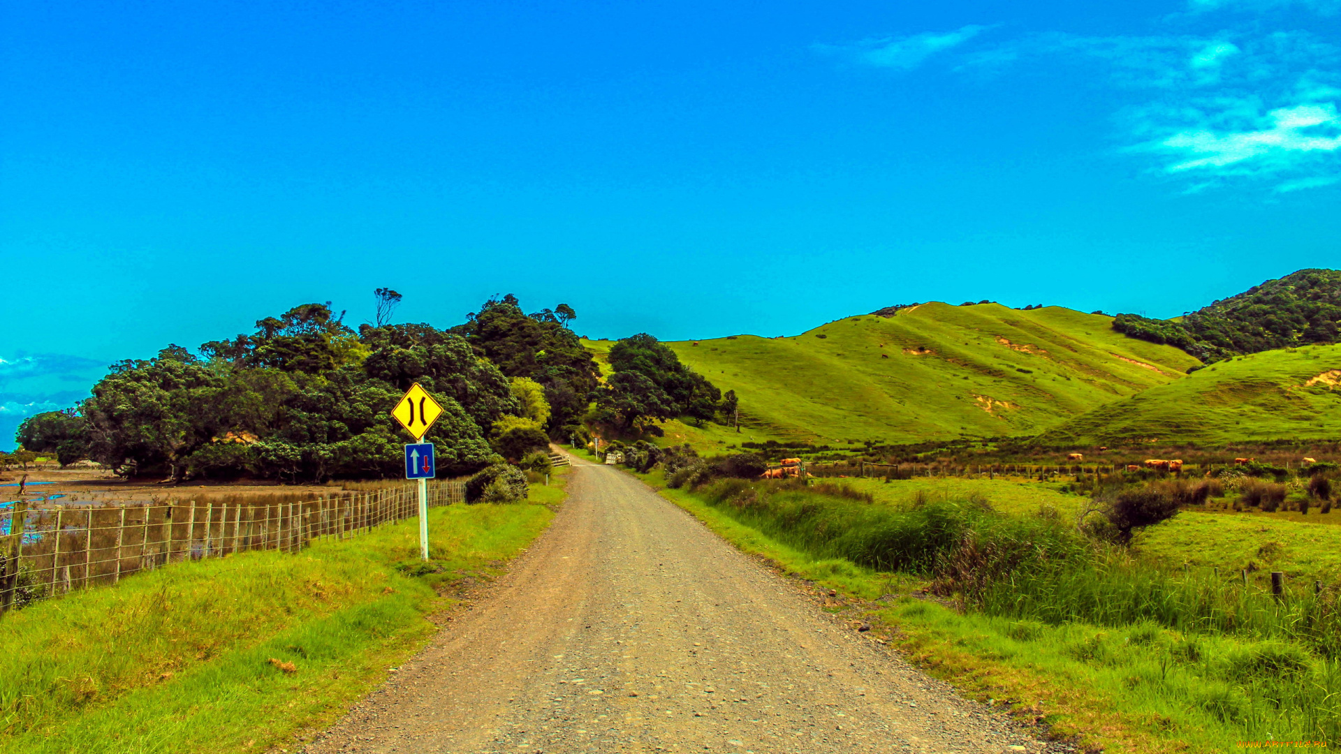природа, дороги, указатель, дорога, проселочная