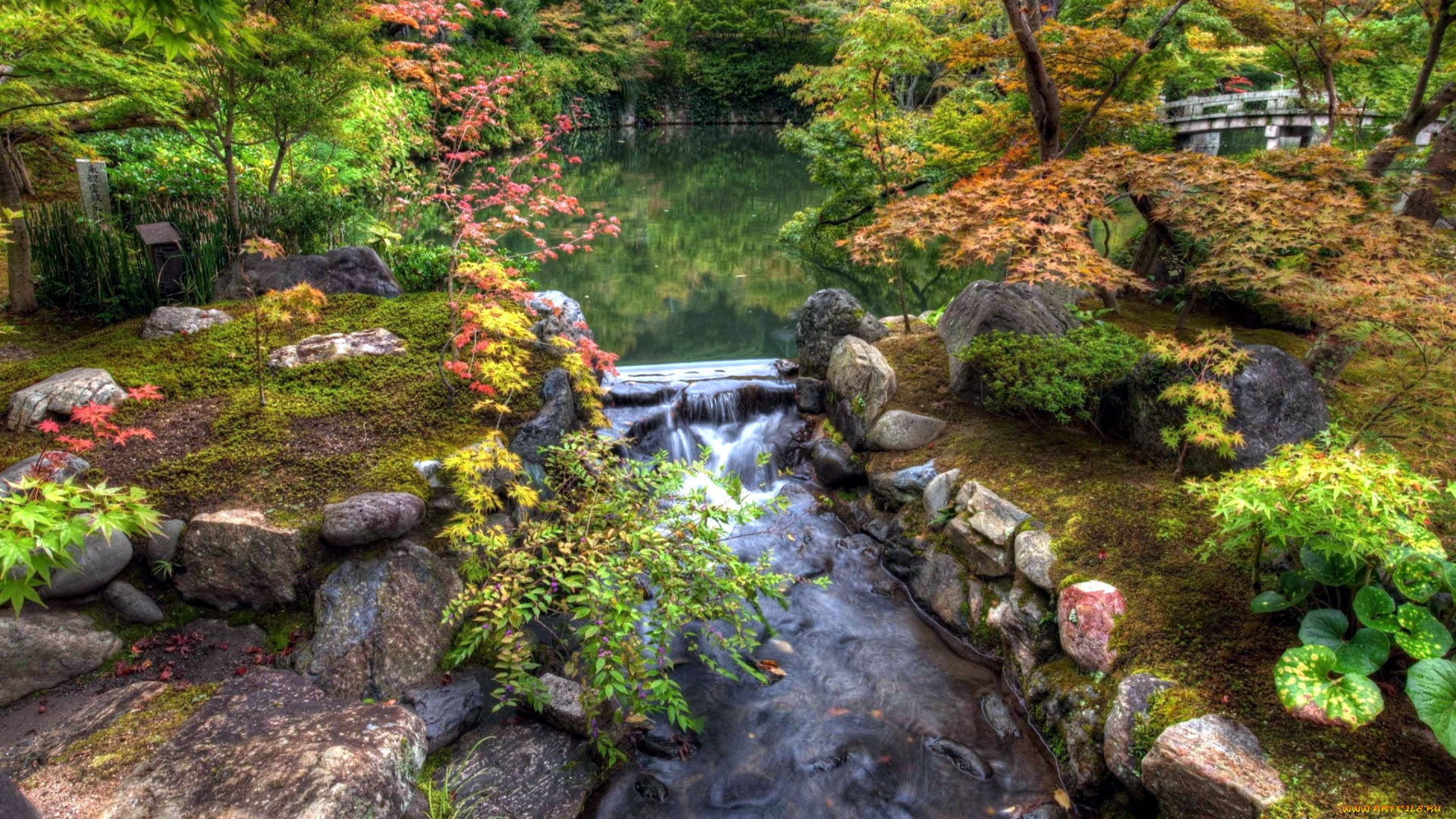 природа, парк, ручей, водоем