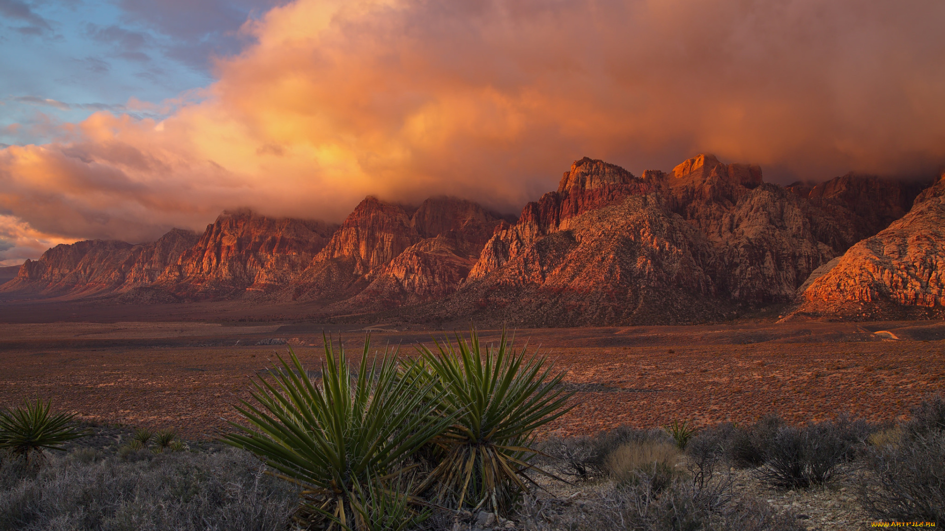 природа, пустыни, простор