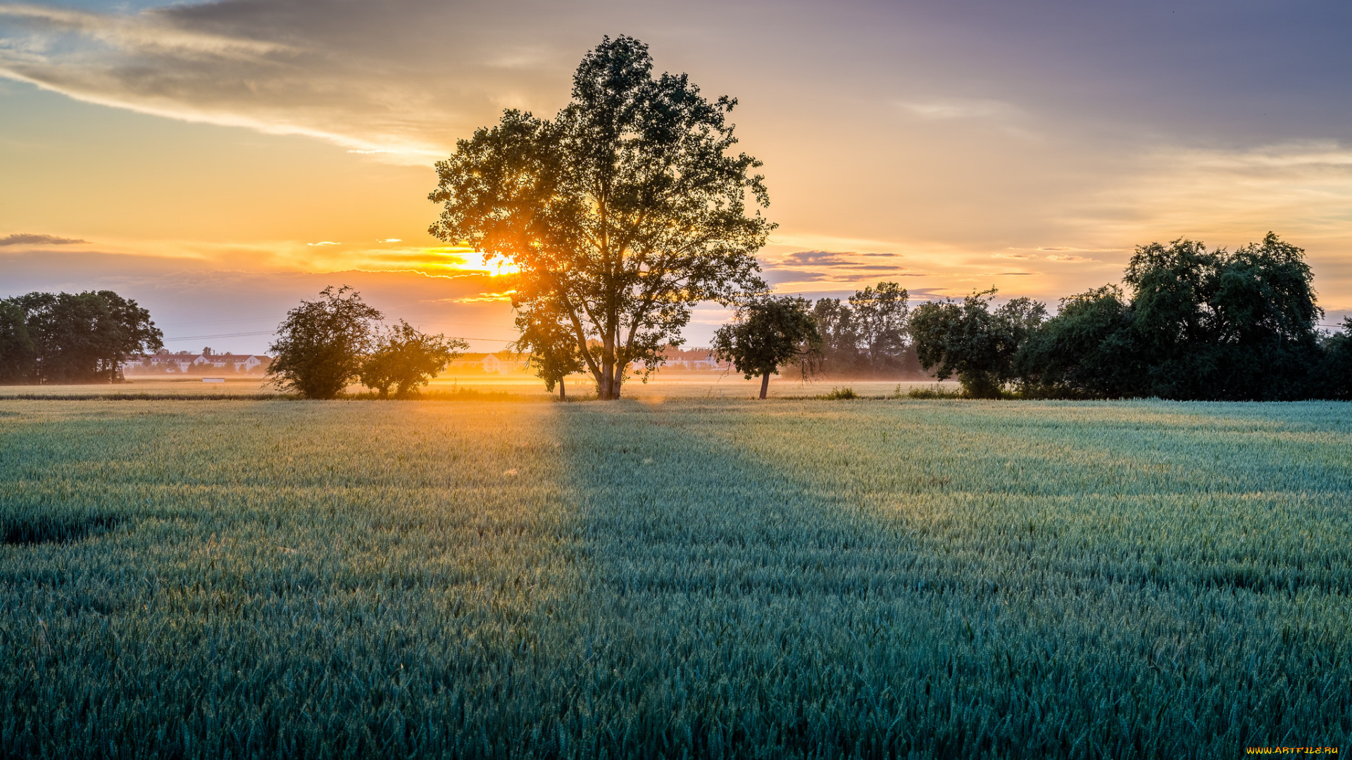 природа, восходы, закаты, простор