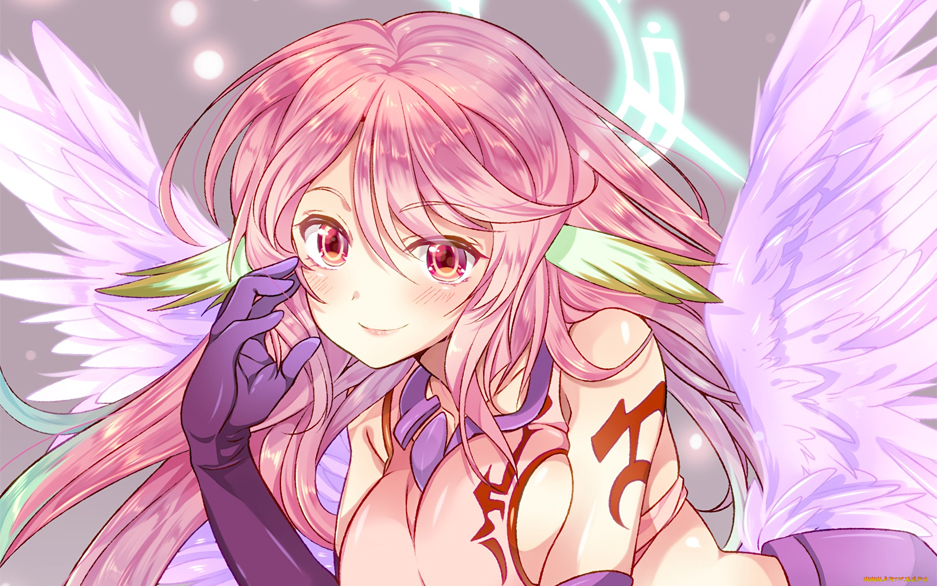 аниме, no, game, no, life, фон, взгляд, девушка