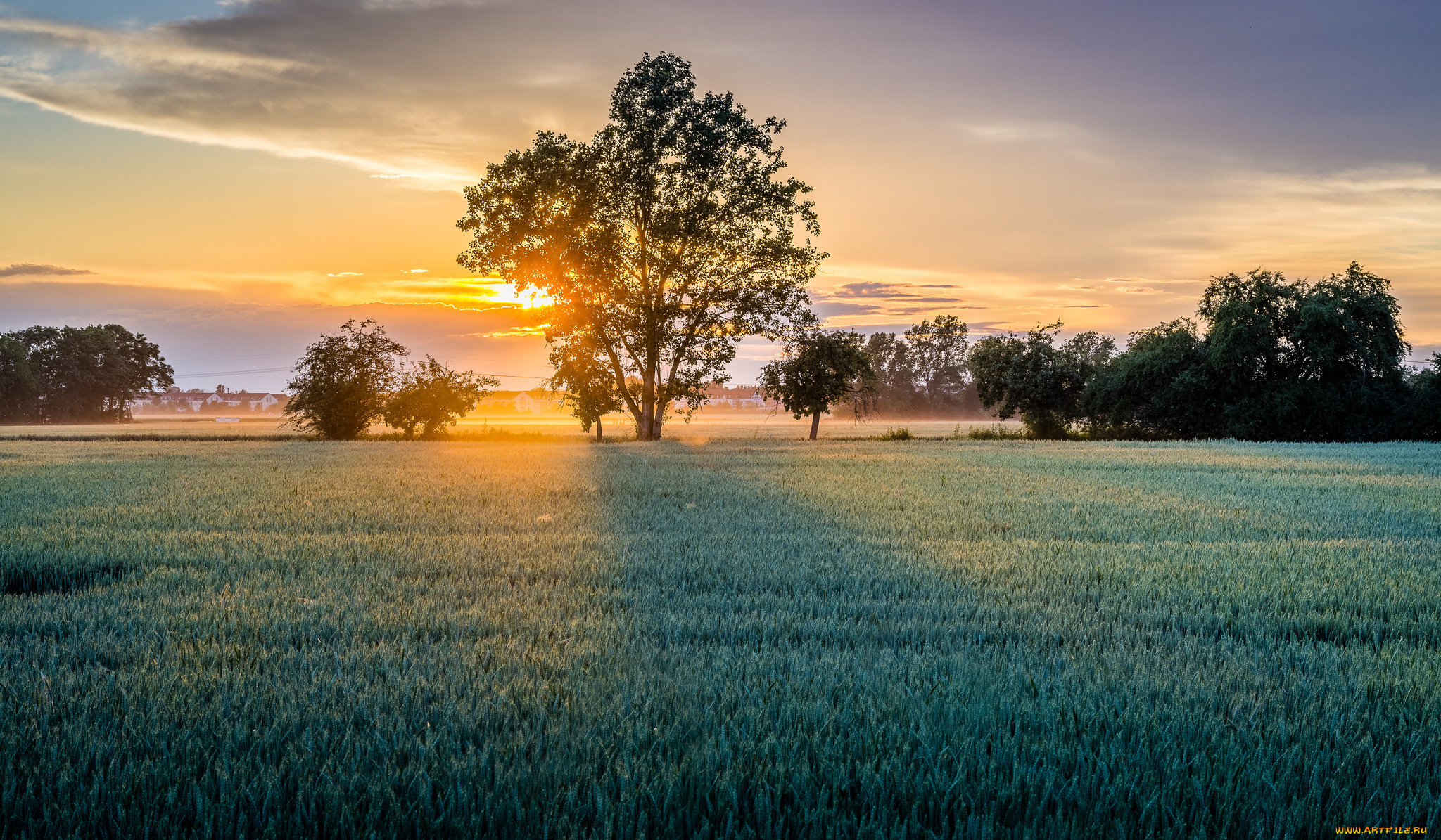 природа, восходы, закаты, простор