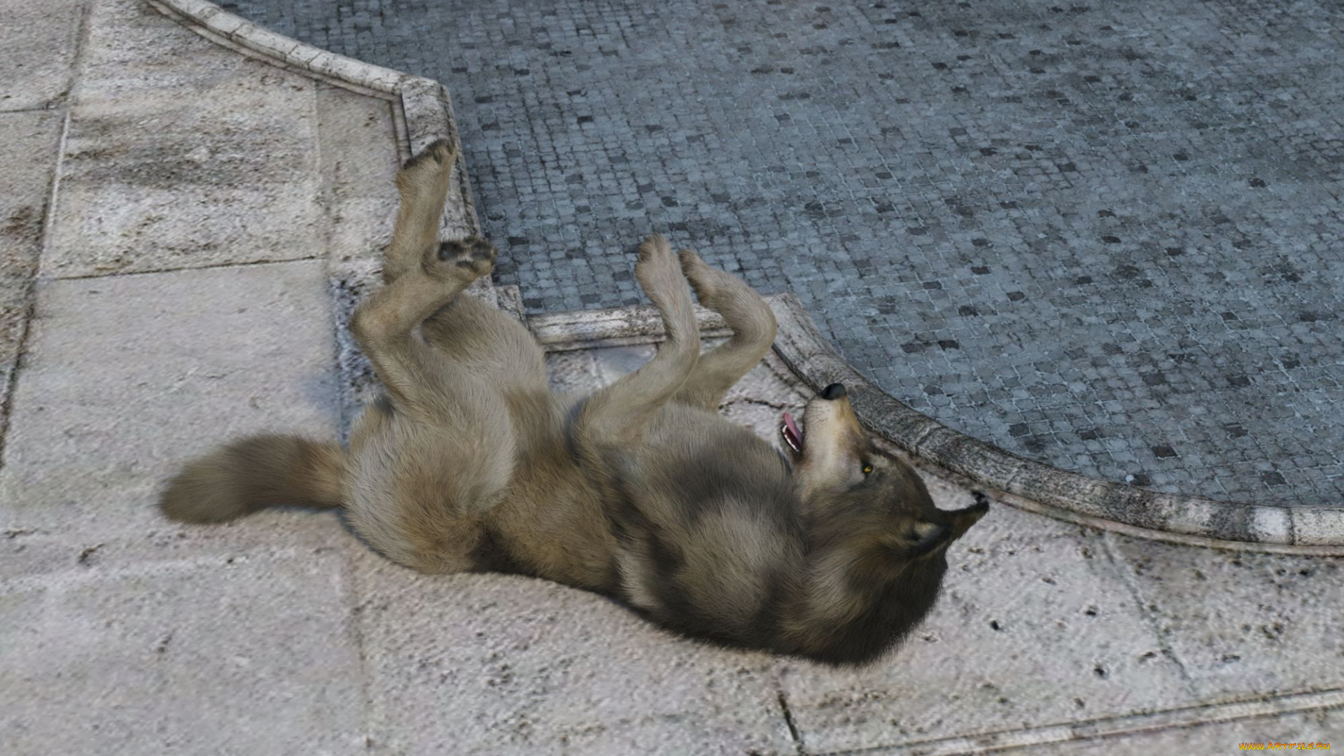 3д, графика, животные, , animals, фон, волк