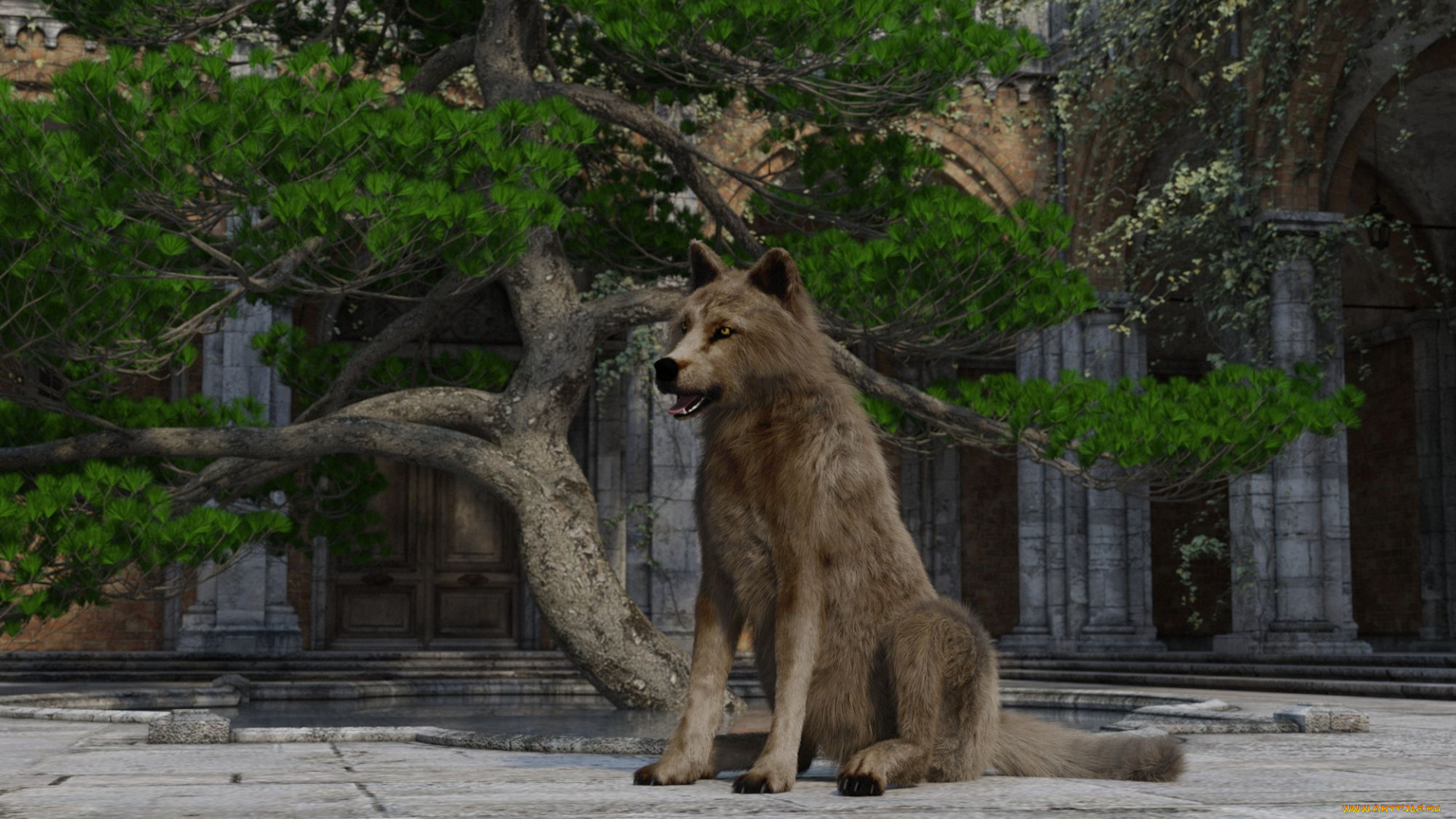 3д, графика, животные, , animals, фон, волк