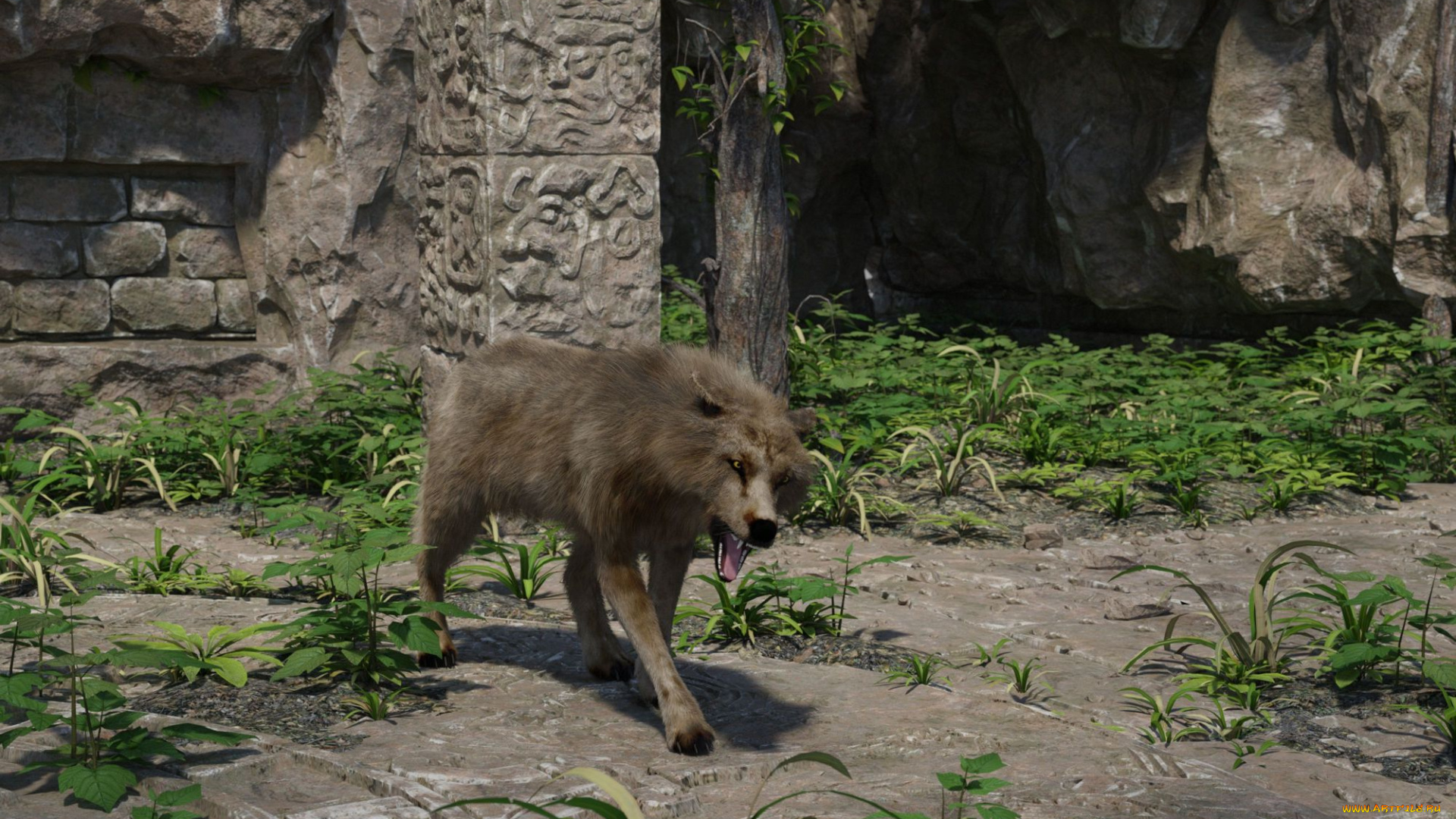 3д, графика, животные, , animals, волк, фон