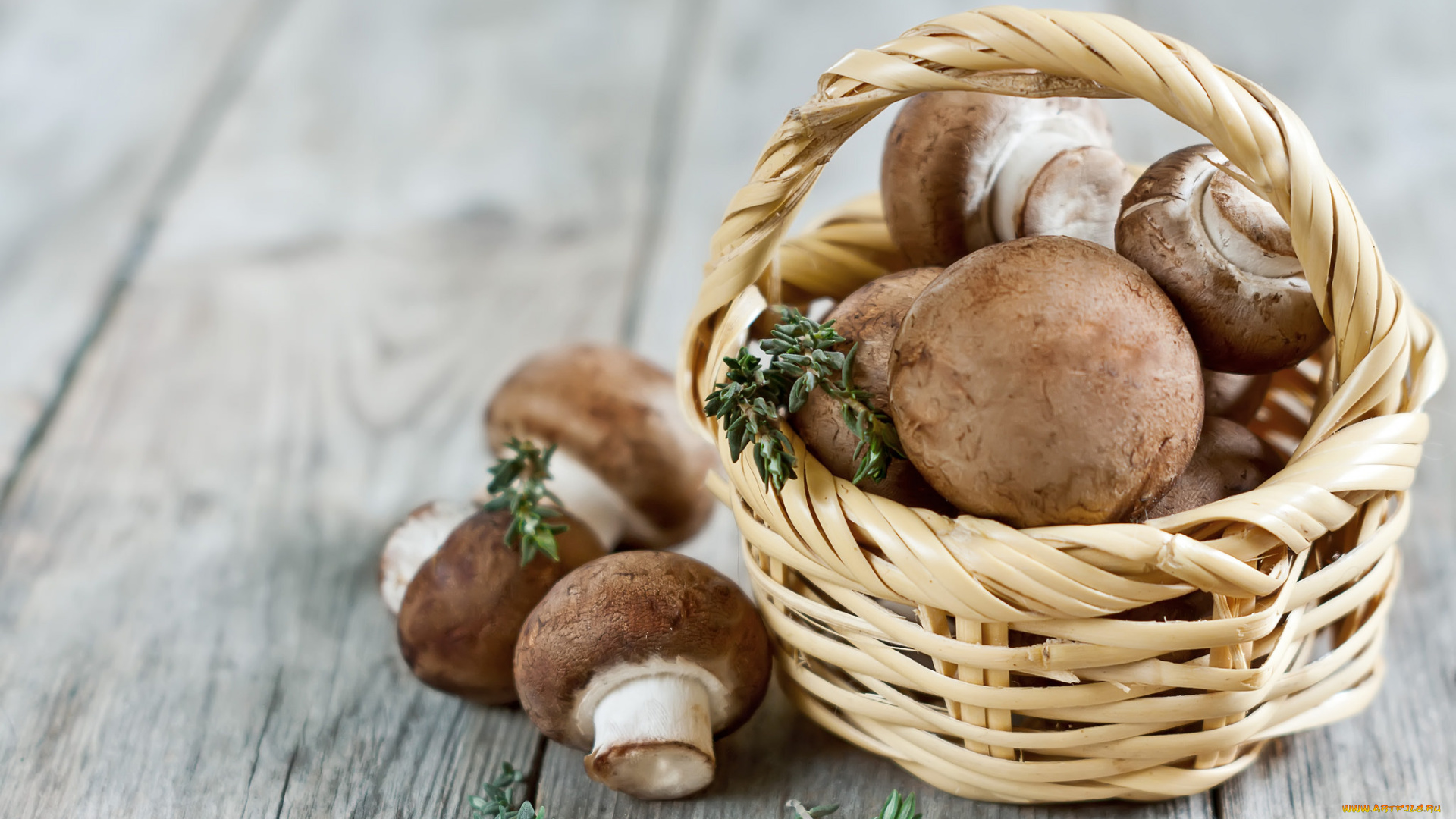 еда, грибы, , грибные, блюда, снедь