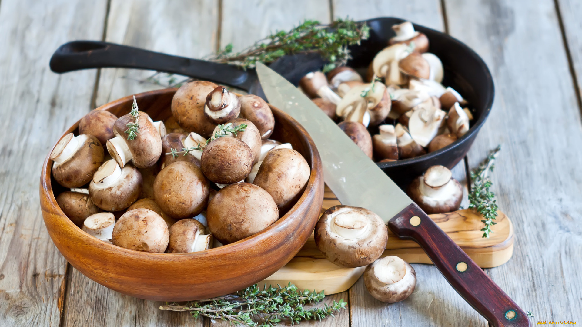 еда, грибы, , грибные, блюда, снедь