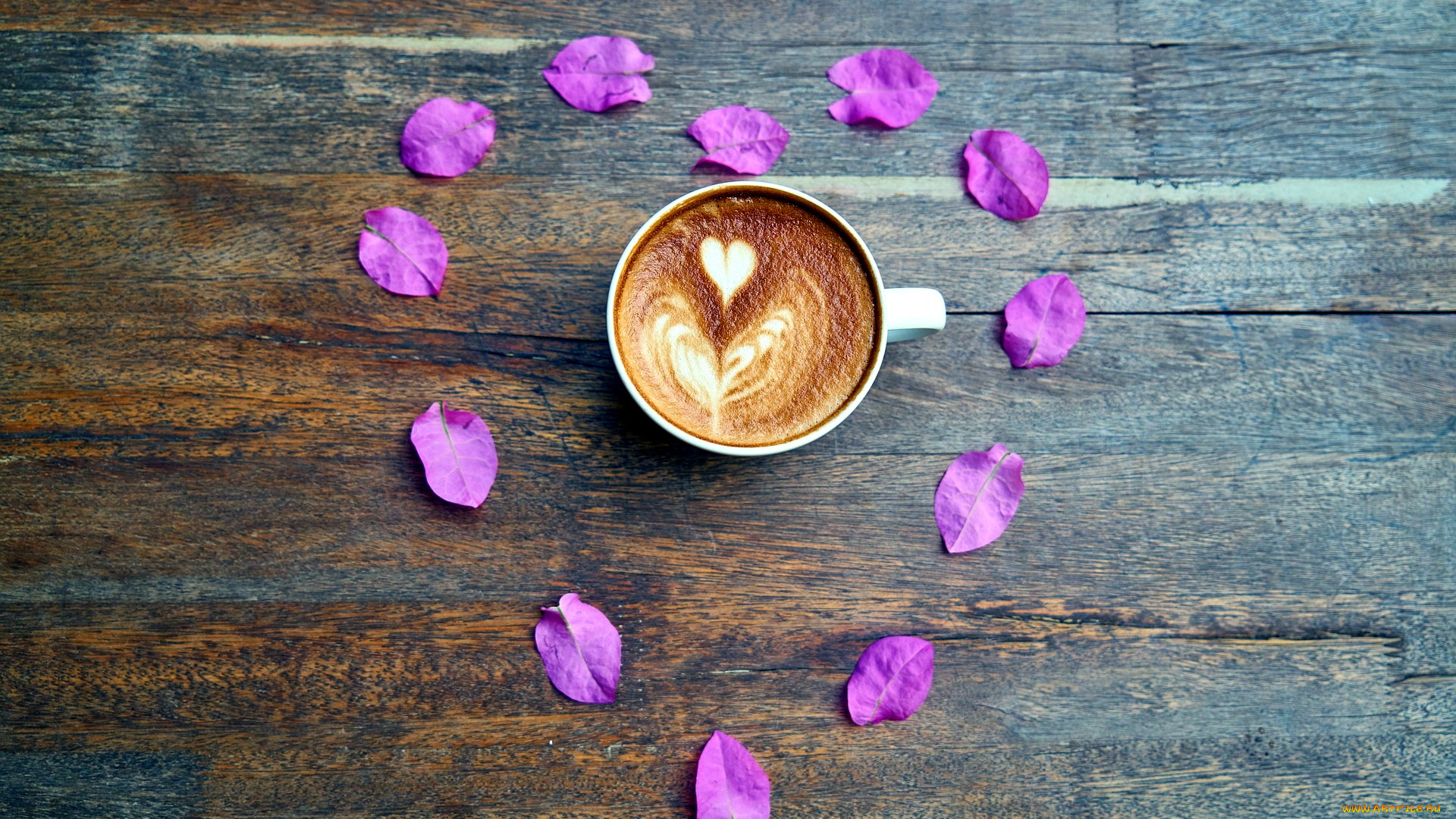 еда, кофе, , кофейные, зёрна, лепестки, капучино