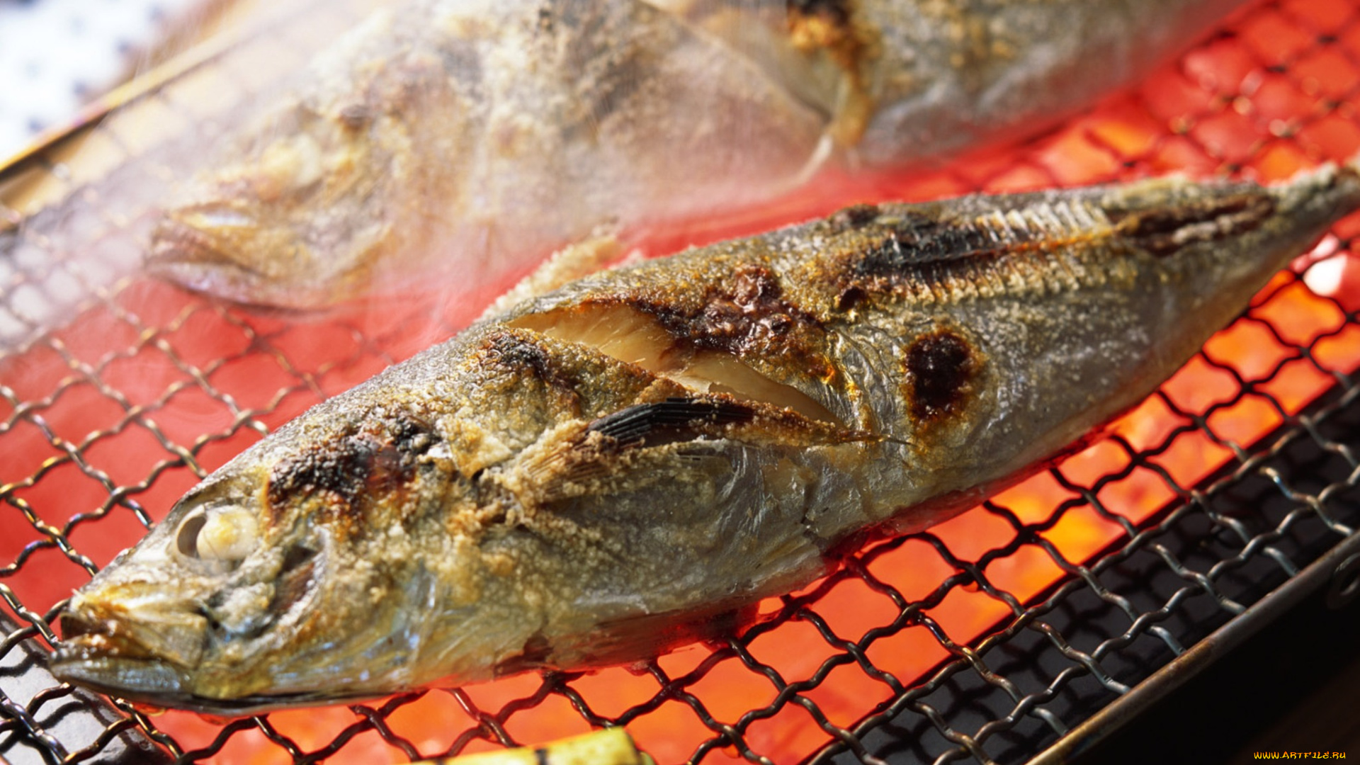 еда, рыбные, блюда, , с, морепродуктами, рыба