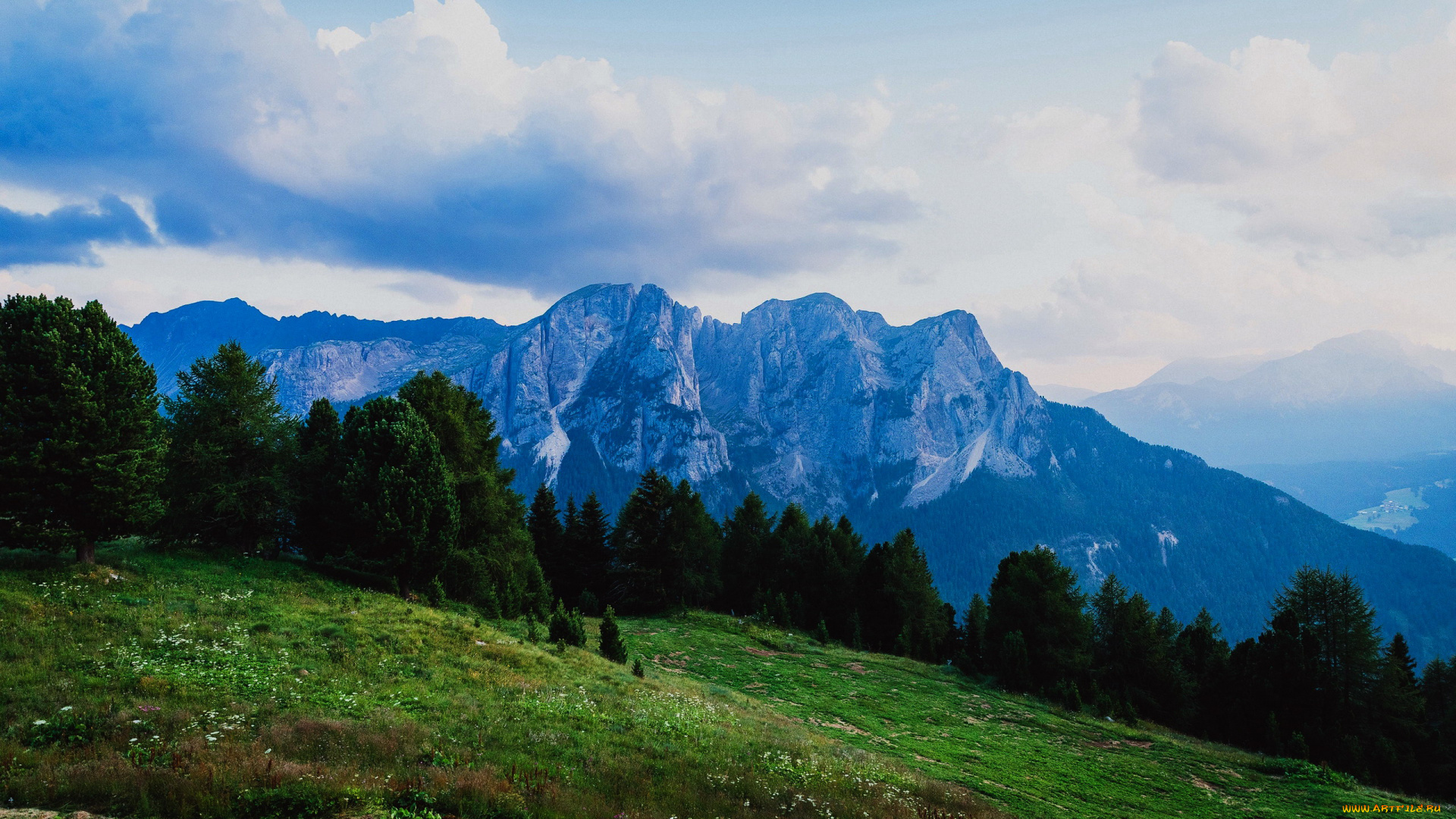 природа, луга, луг