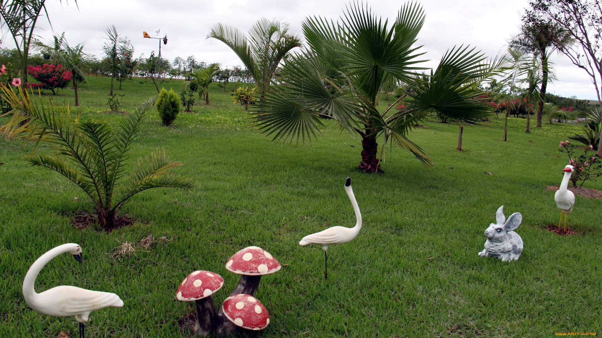 природа, парк, пальмы