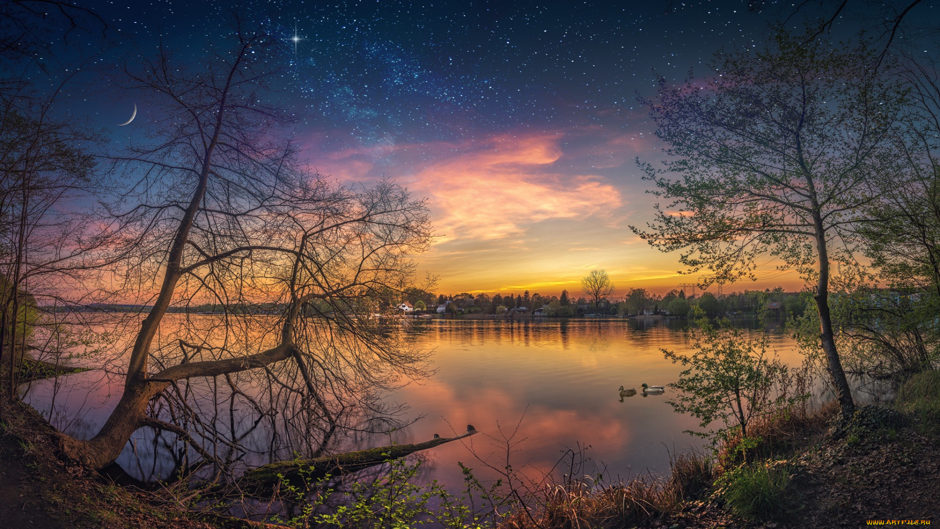 природа, реки, озера, деревья, звезды, отражение, небо, река