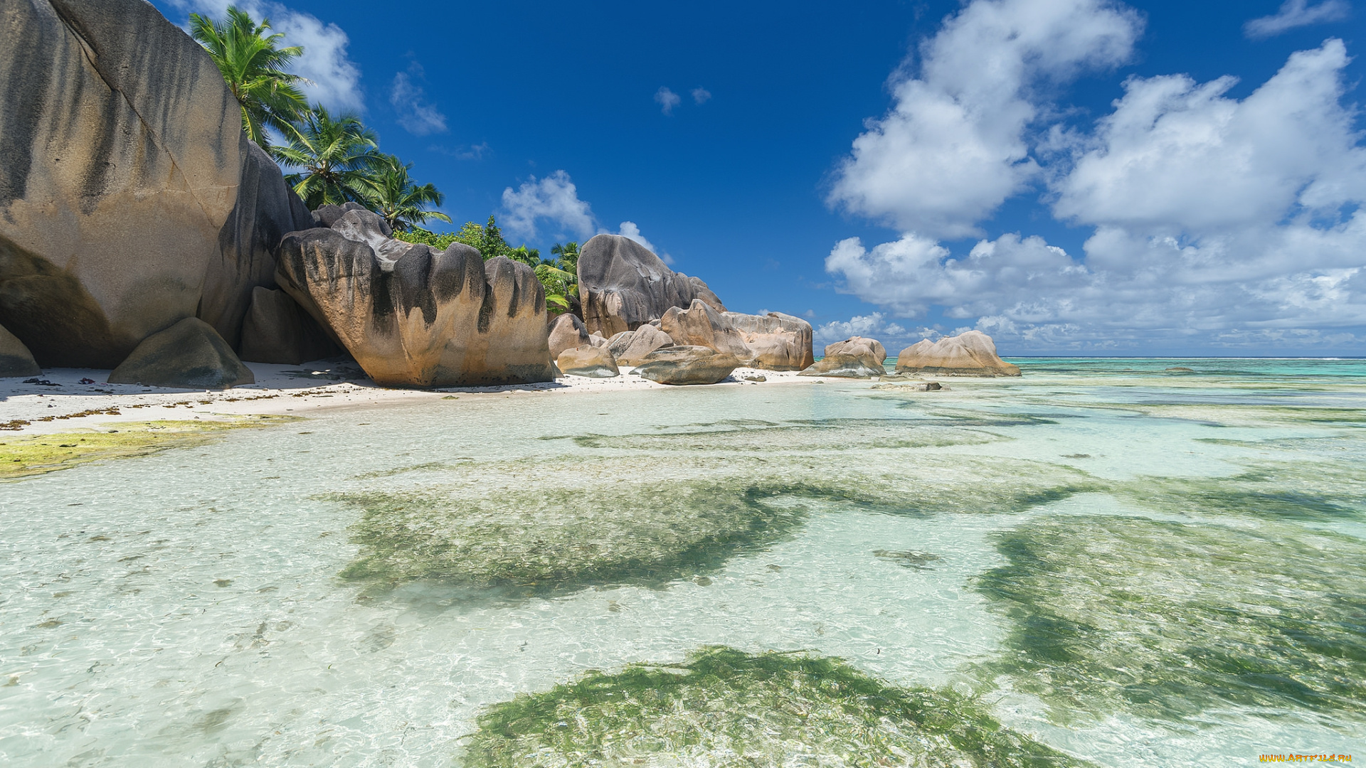 природа, тропики, простор