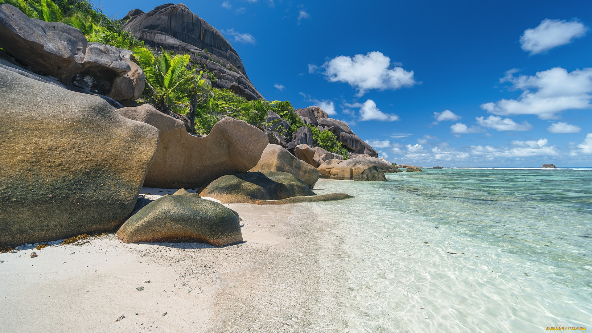 природа, тропики, простор