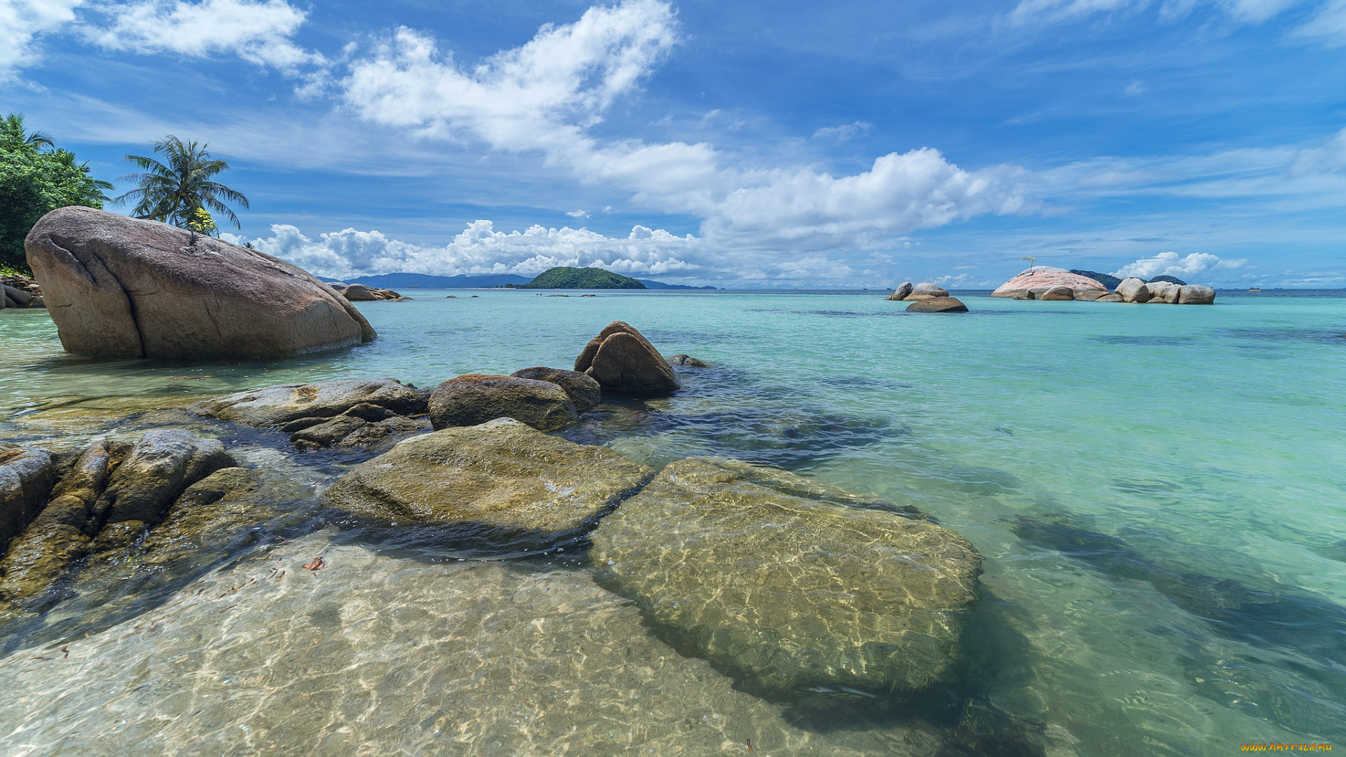 природа, тропики, простор