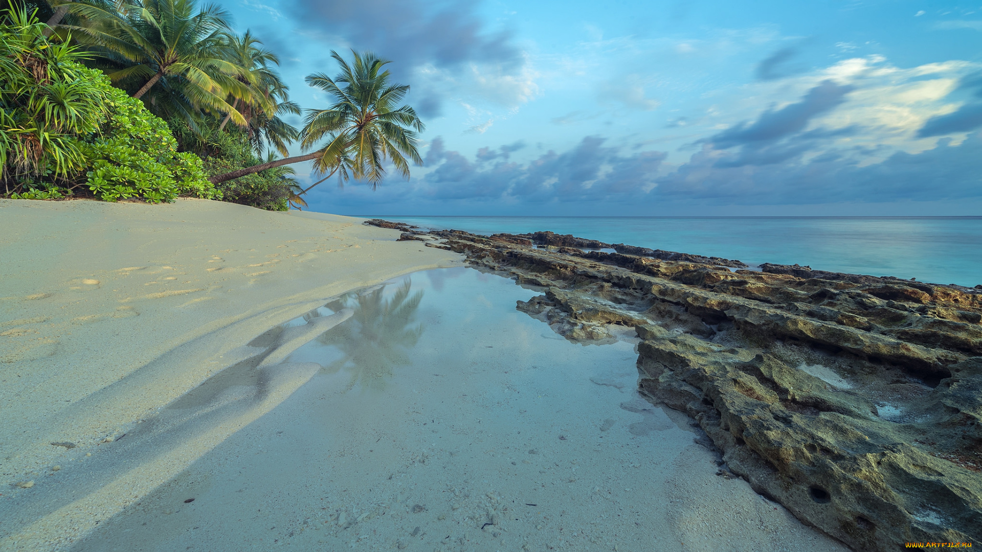 природа, тропики, простор