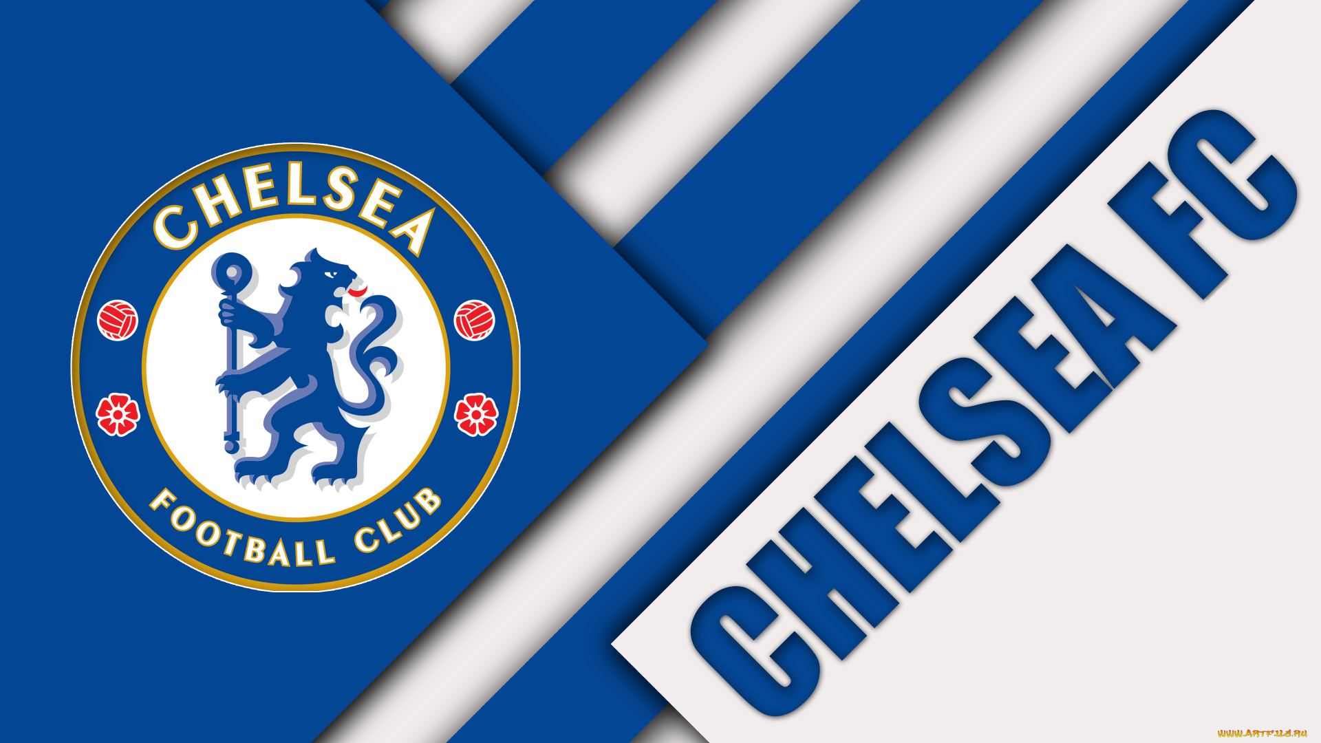 спорт, эмблемы, клубов, полосы, цвета, линии, логотип, фон