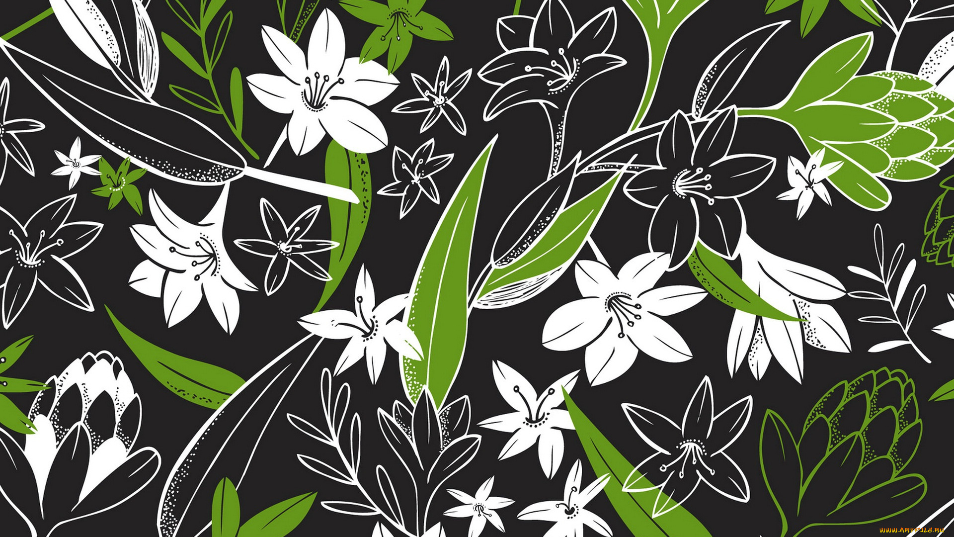 векторная, графика, цветы, , flowers, форма, цвет, фон