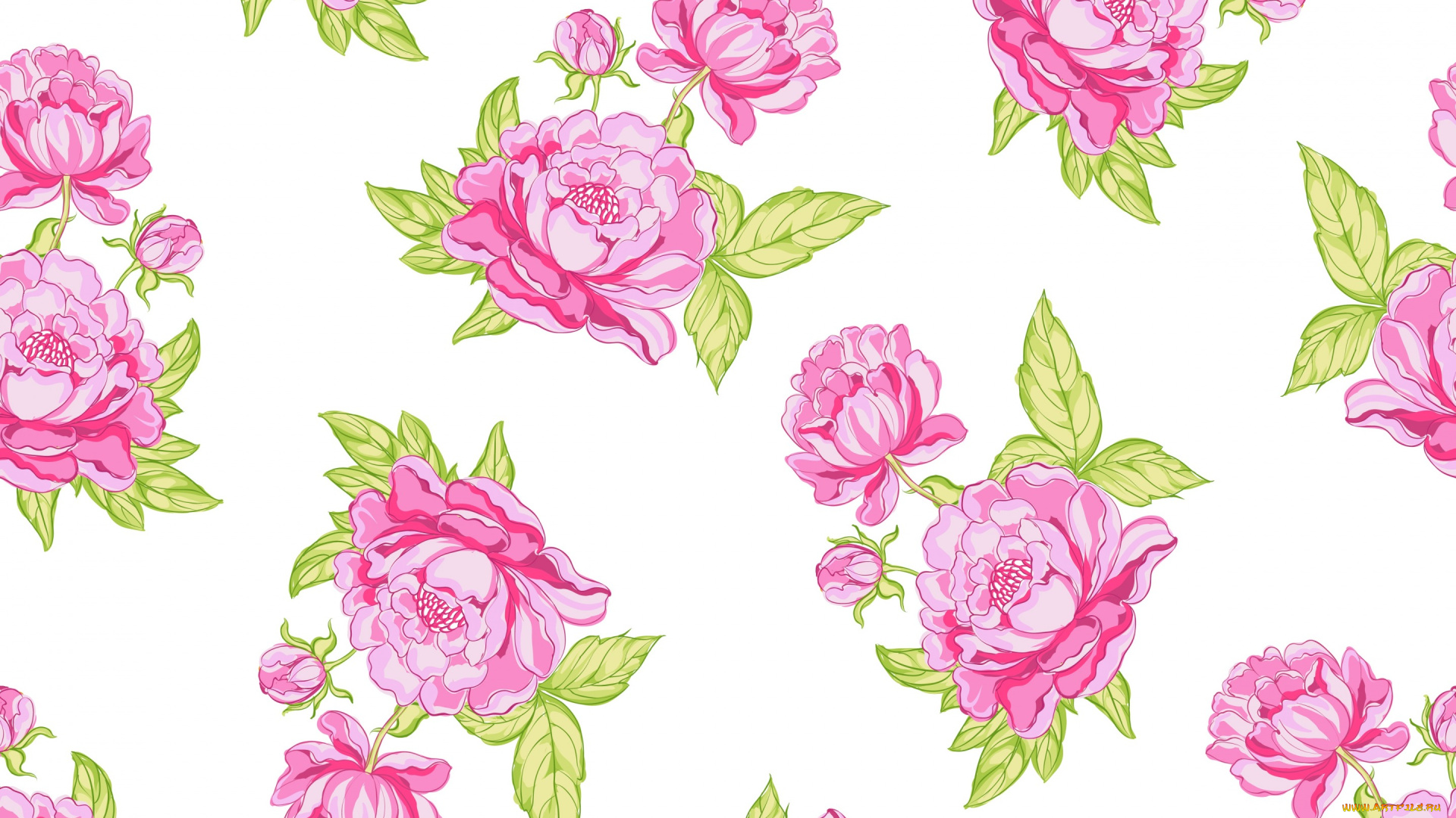 векторная, графика, цветы, , flowers, seamless, розы, rose, background, текстура