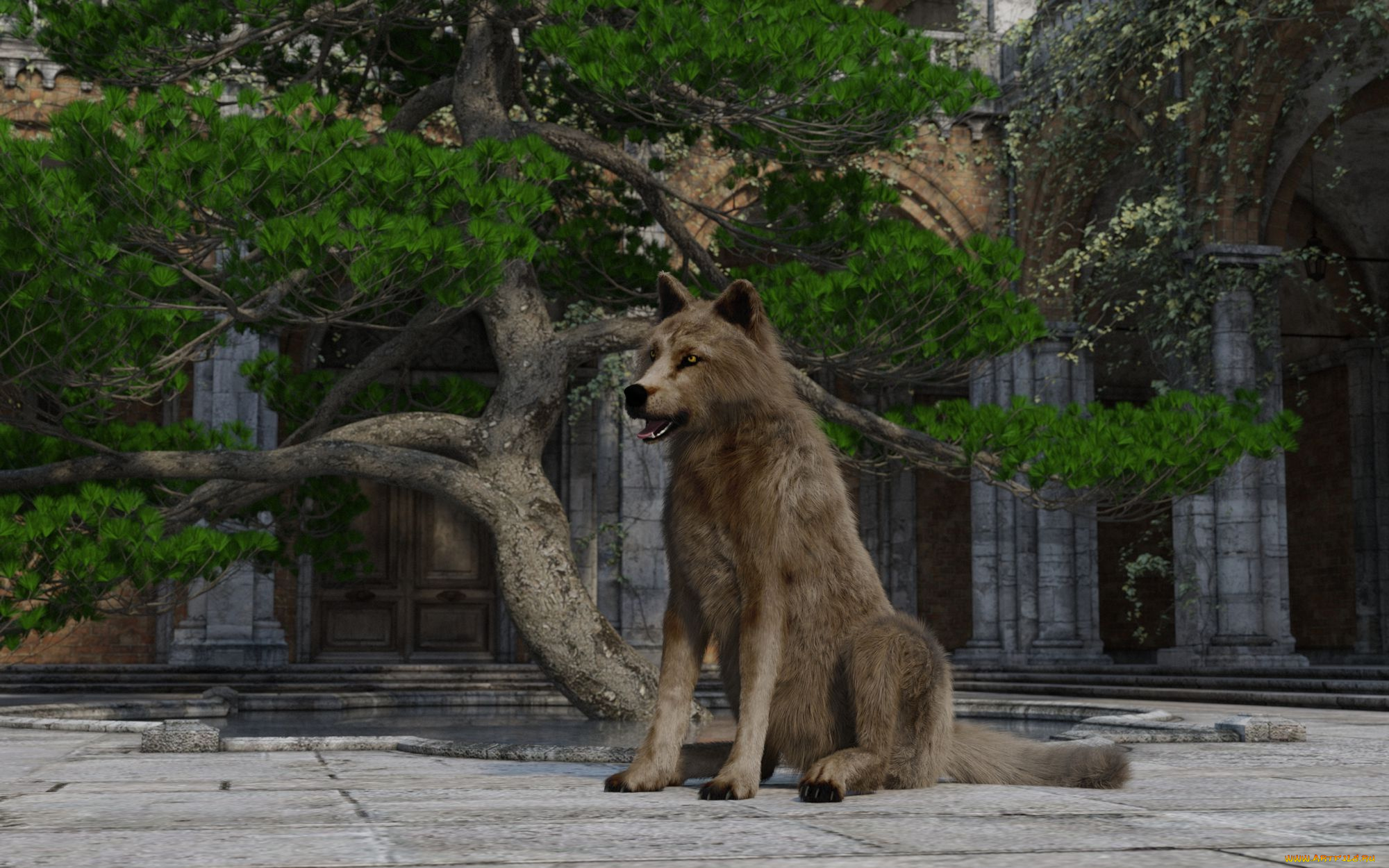 3д, графика, животные, , animals, фон, волк