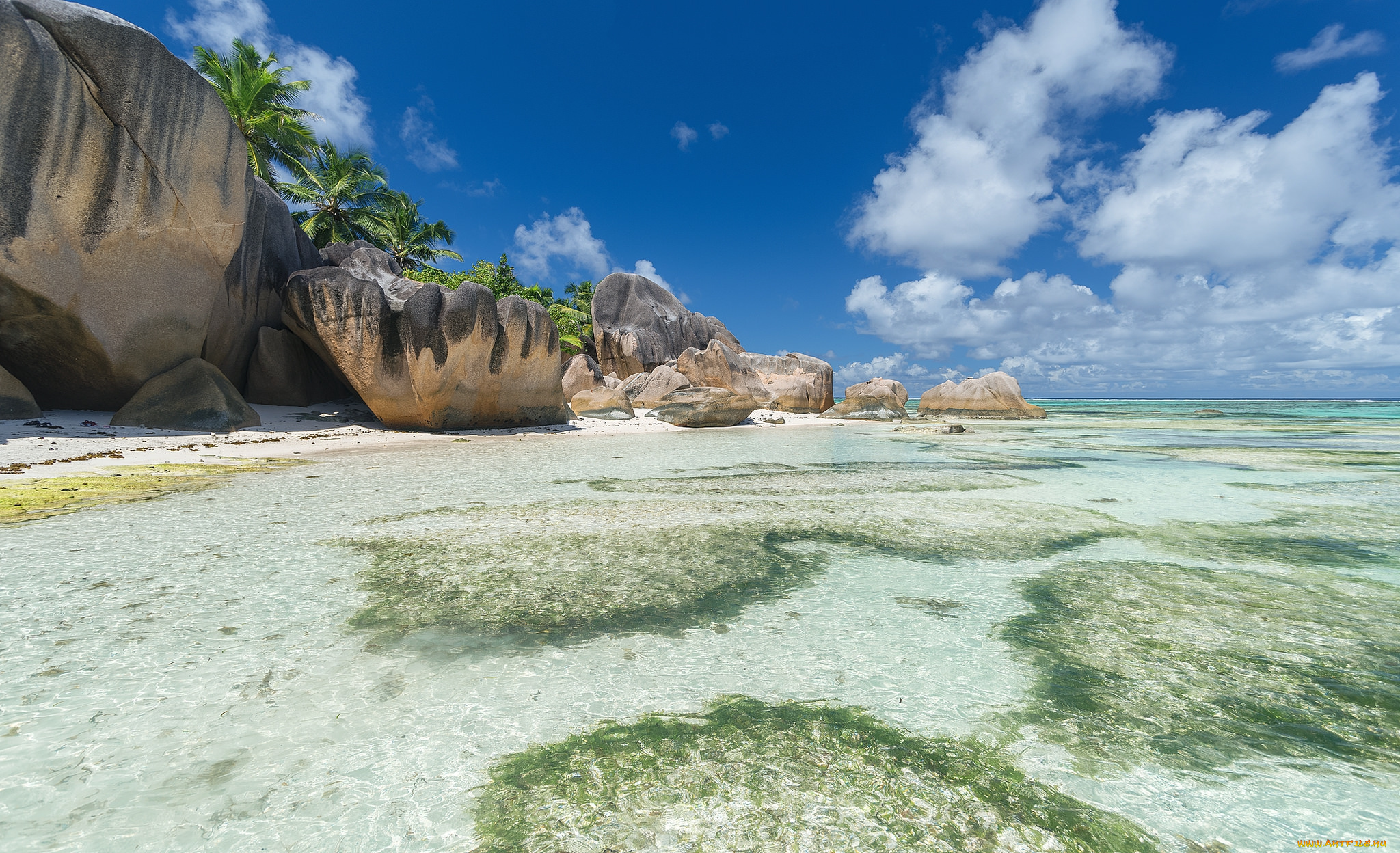 природа, тропики, простор