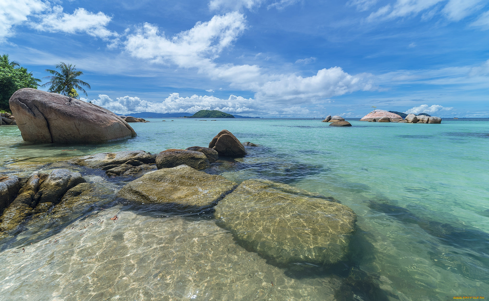 природа, тропики, простор