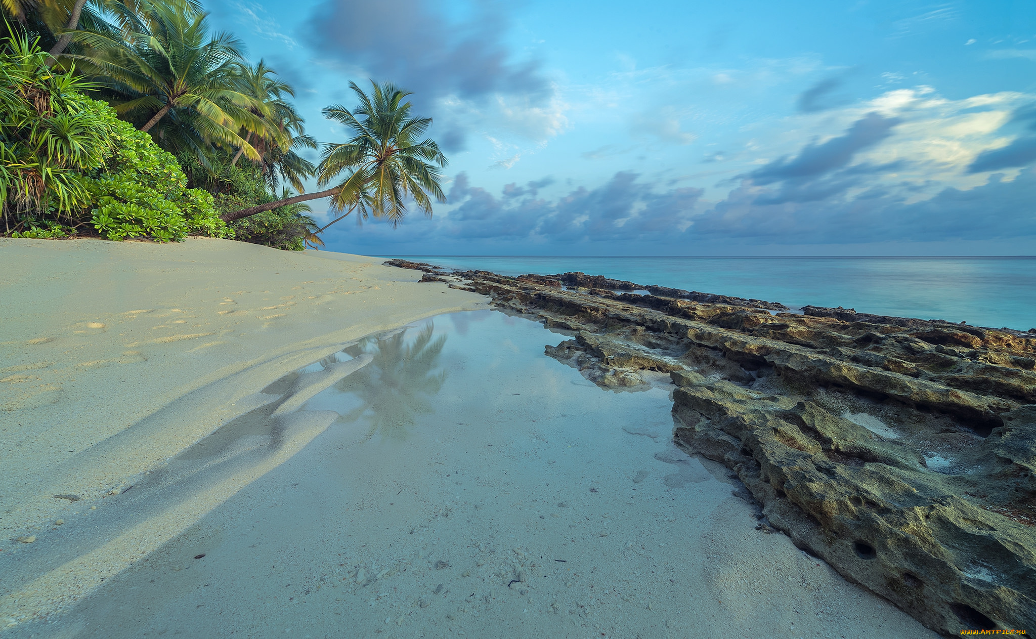 природа, тропики, простор