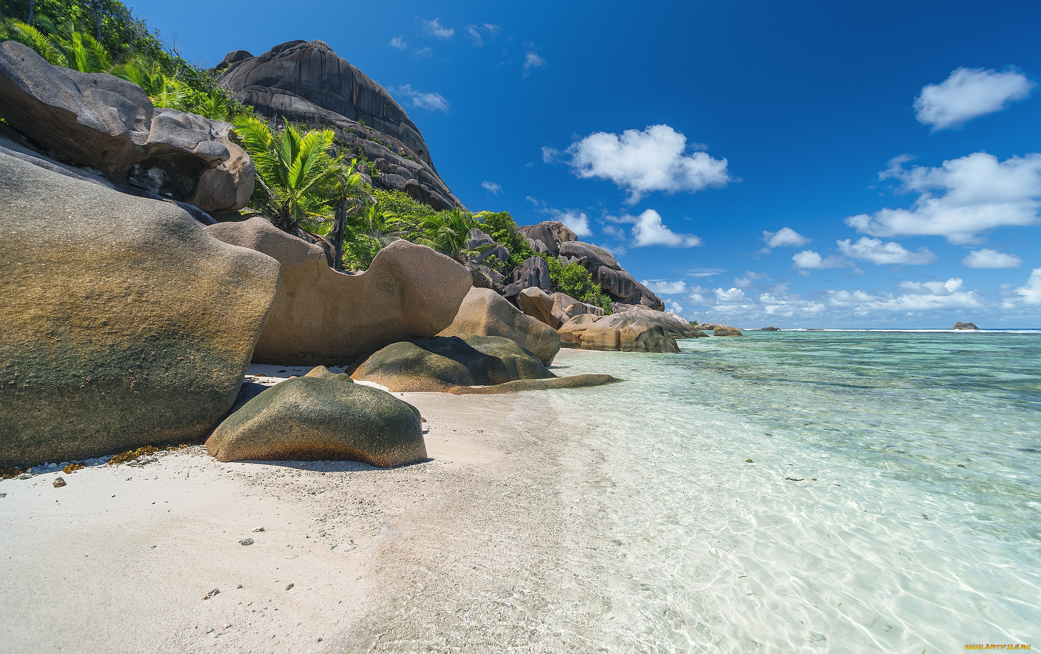 природа, тропики, простор