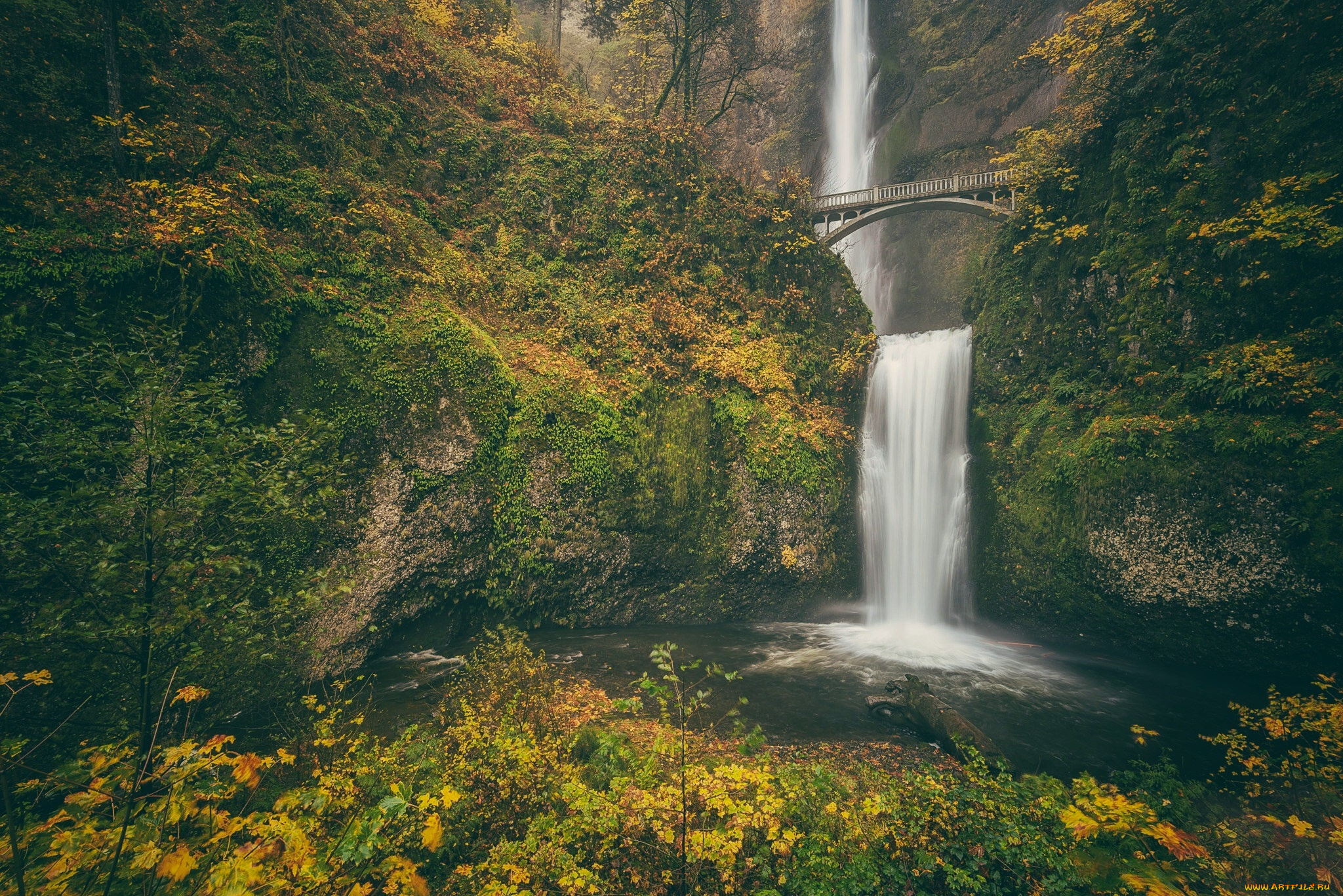 природа, водопады, columbia, river, gorge, осень, водопад, орегон, ущелье, реки, колумбия, мост, бенсона, скала, benson, bridge, малтнома, oregon, multnomah, falls