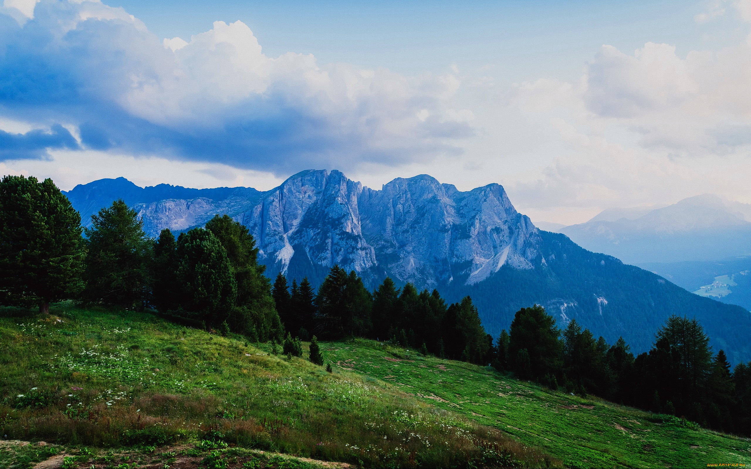 природа, луга, луг