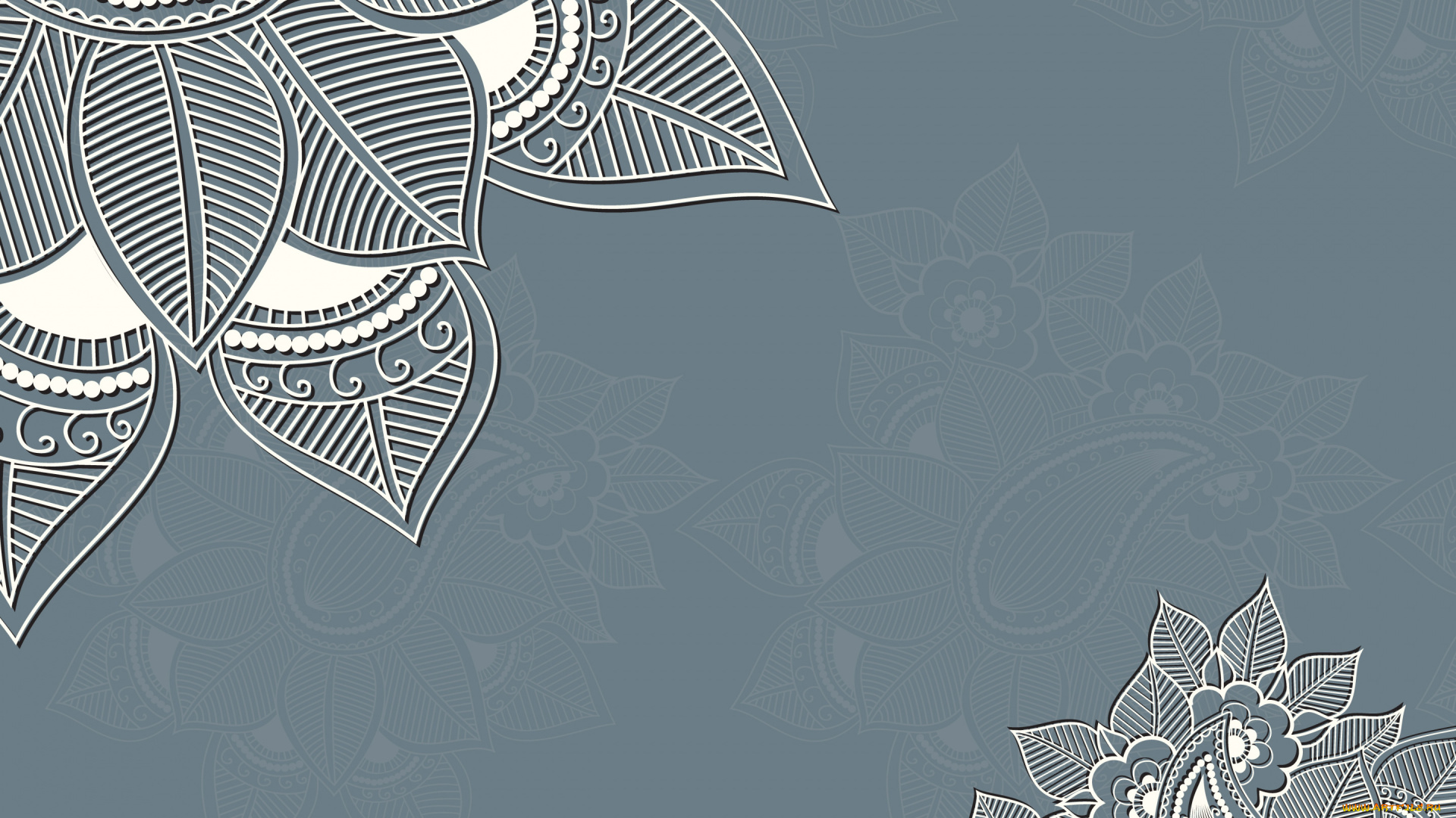 векторная, графика, цветы, , flowers, фон, цветы