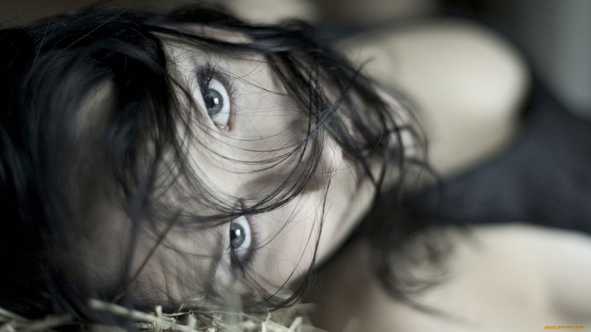 vibeke-stene, музыка, -другое, женщина