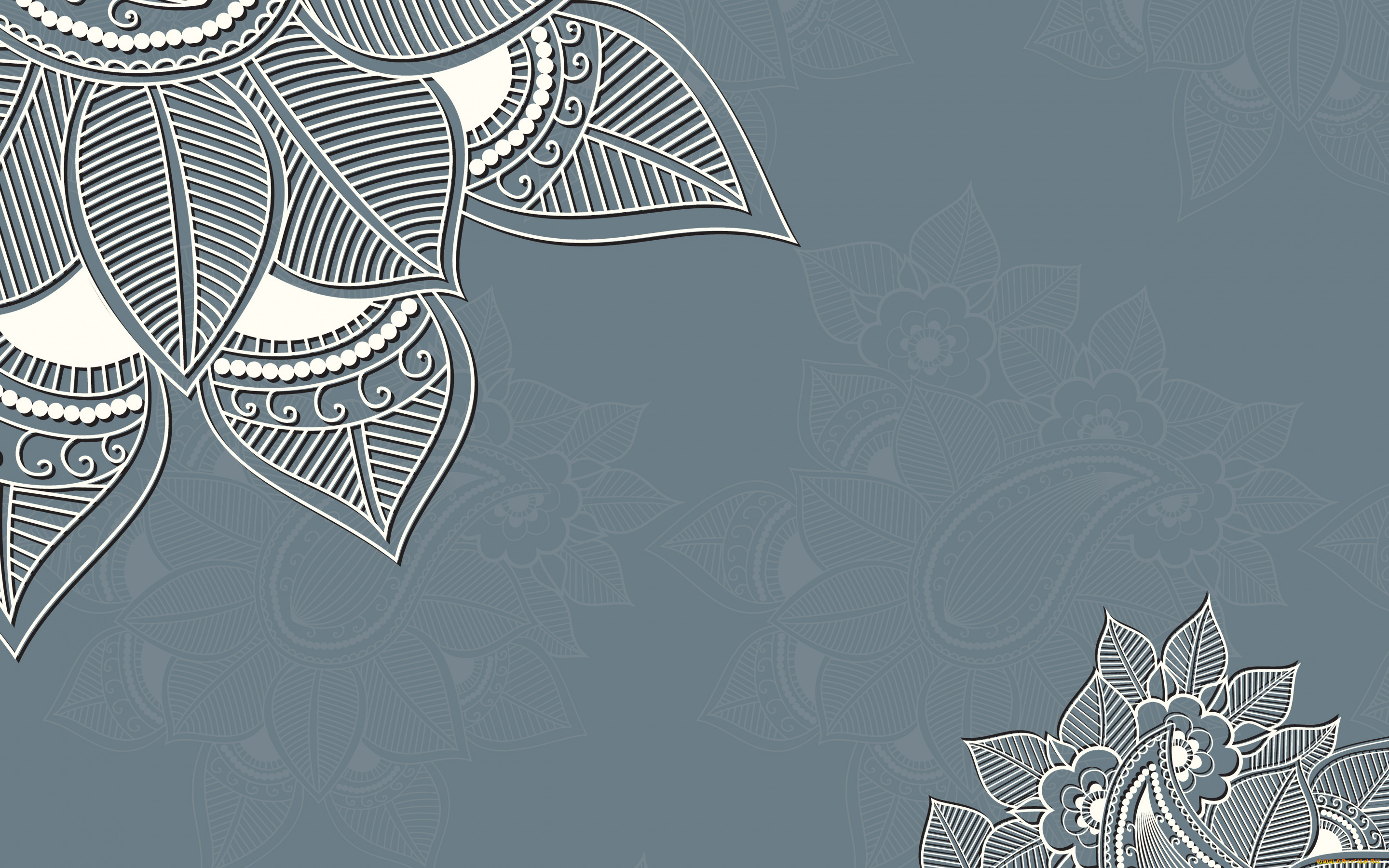 векторная, графика, цветы, , flowers, фон, цветы