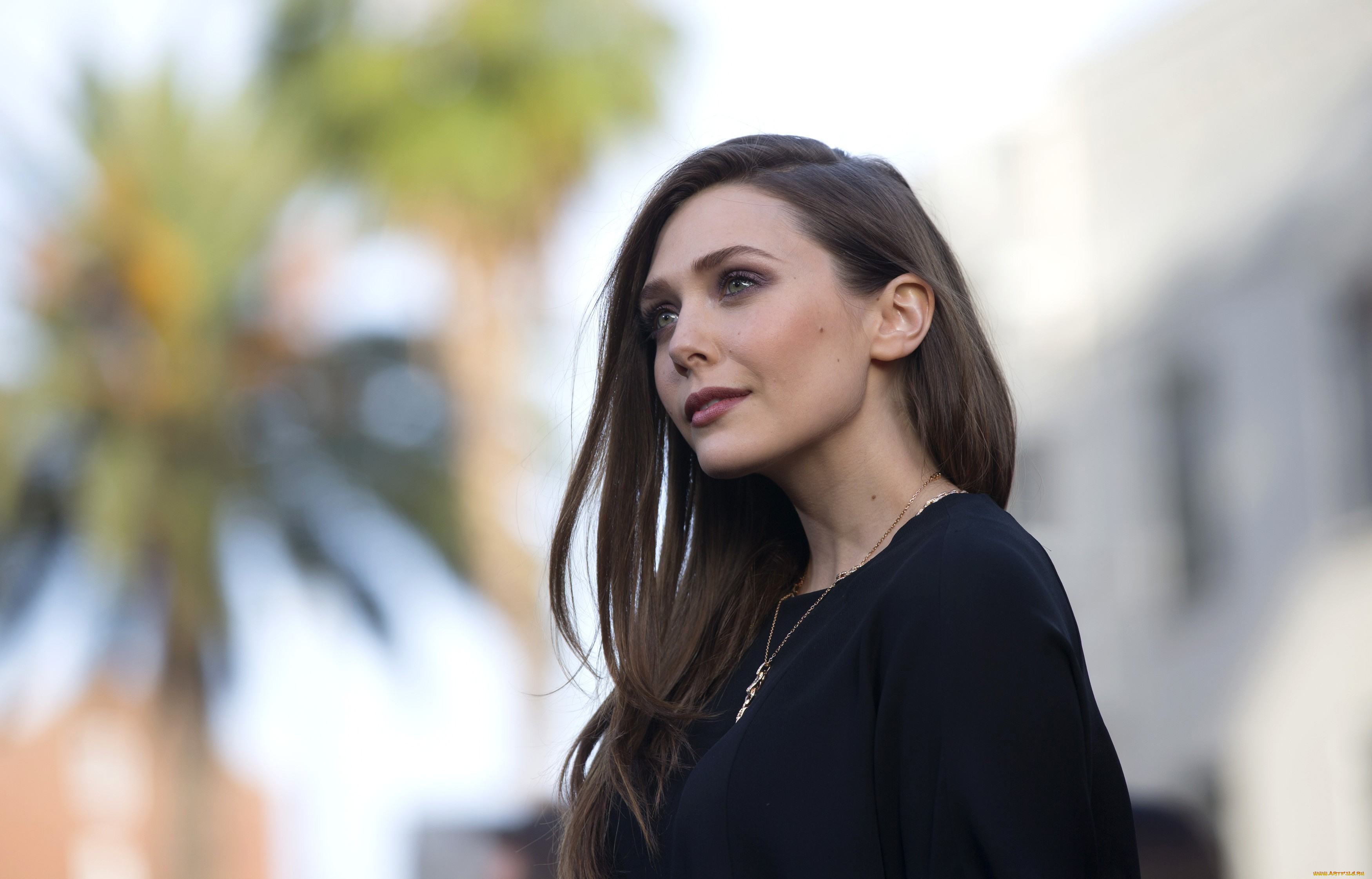 девушки, elizabeth, olsen, актриса, шатенка, лицо