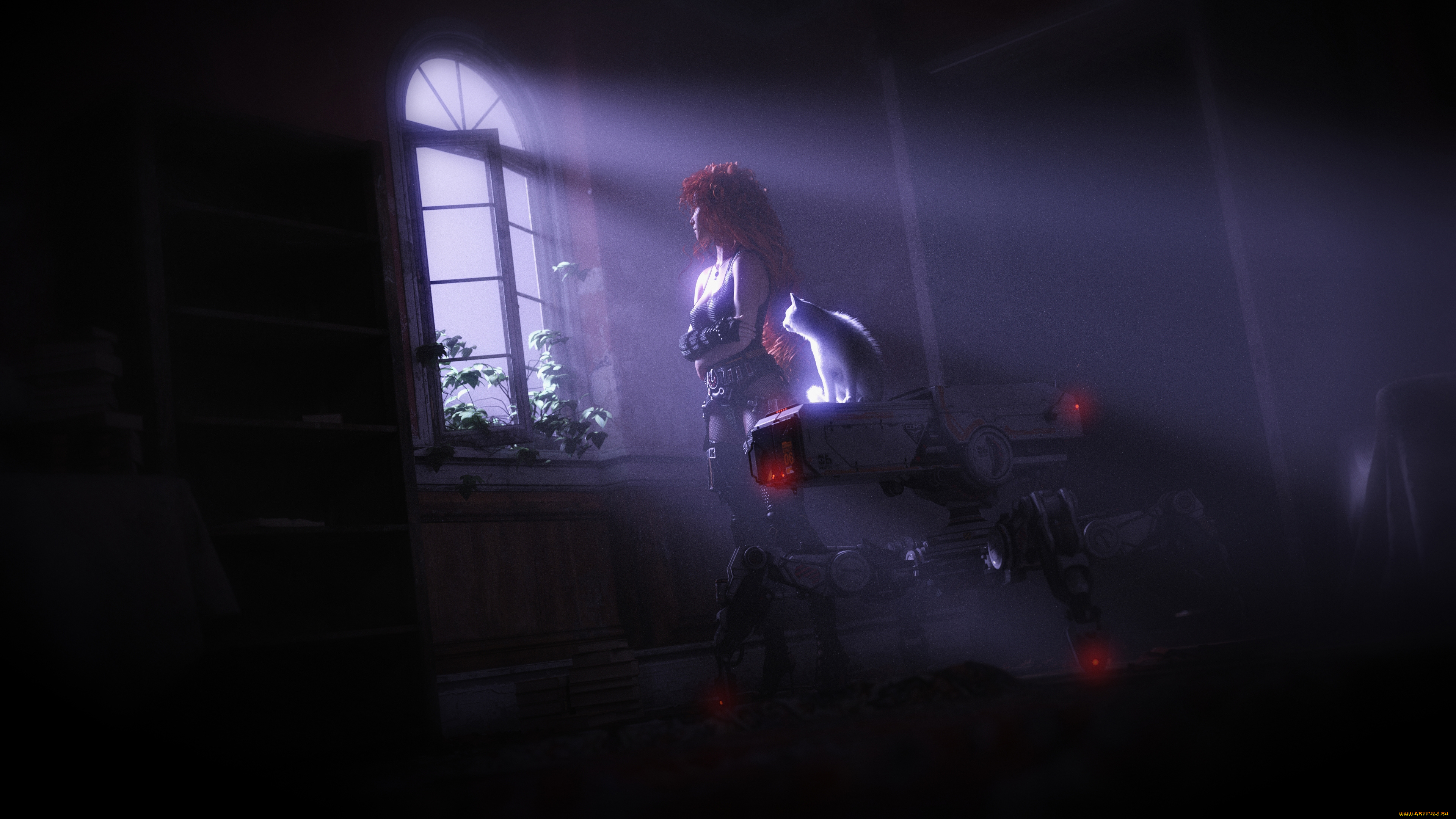 3д, графика, люди, и, животные, , people, and, animals, девушка, фон, окно, кот