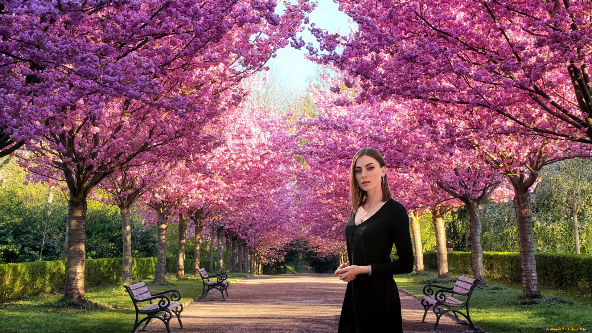 девушки, -, брюнетки, , шатенки, парк, весна, шатенка, черное, платье