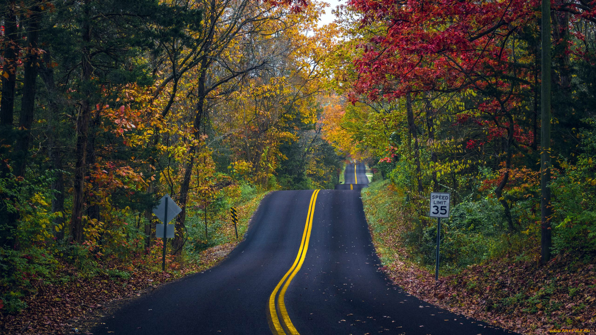 природа, дороги, шоссе, осень