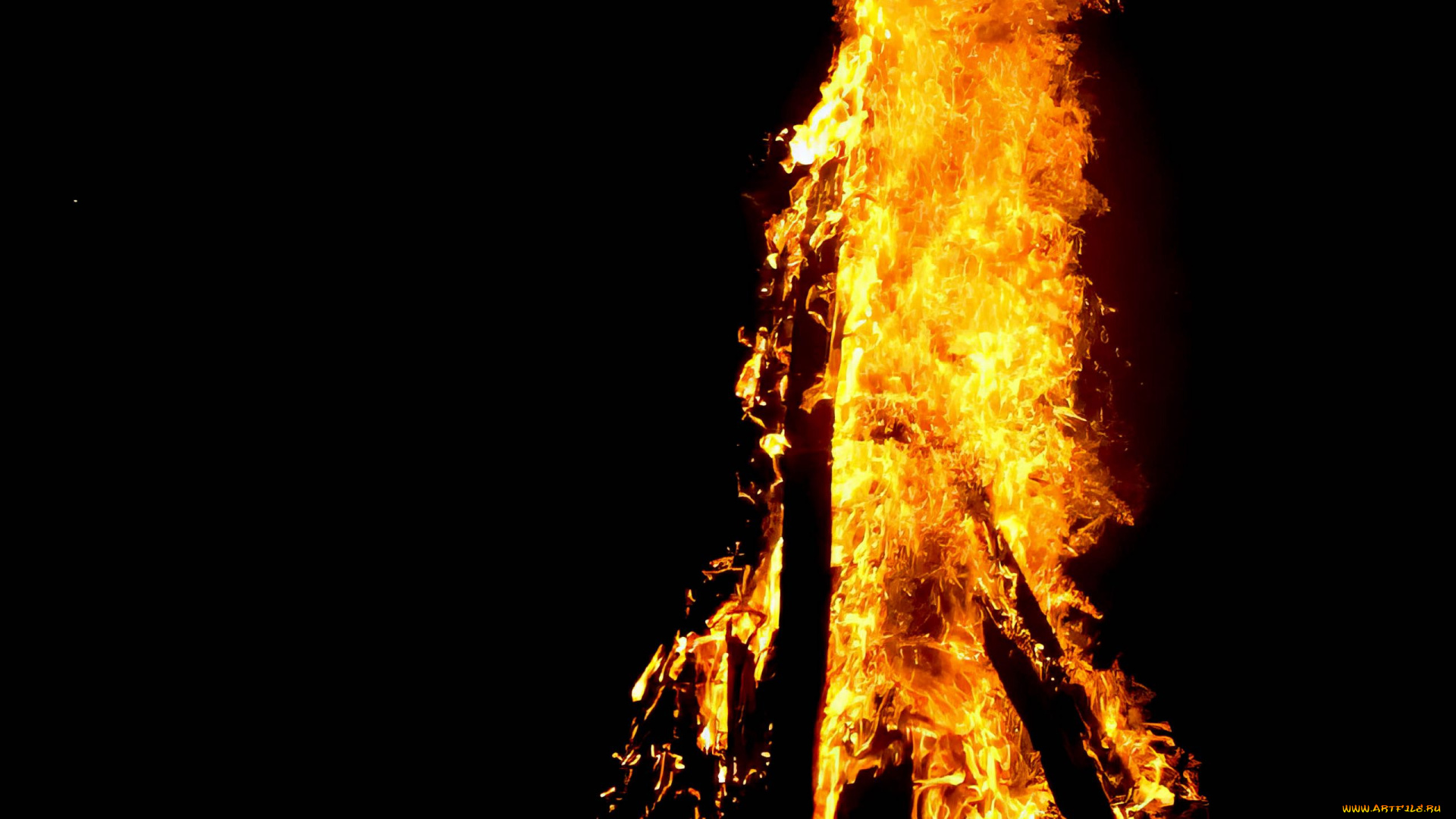 природа, огонь, дрова, пламя, костер