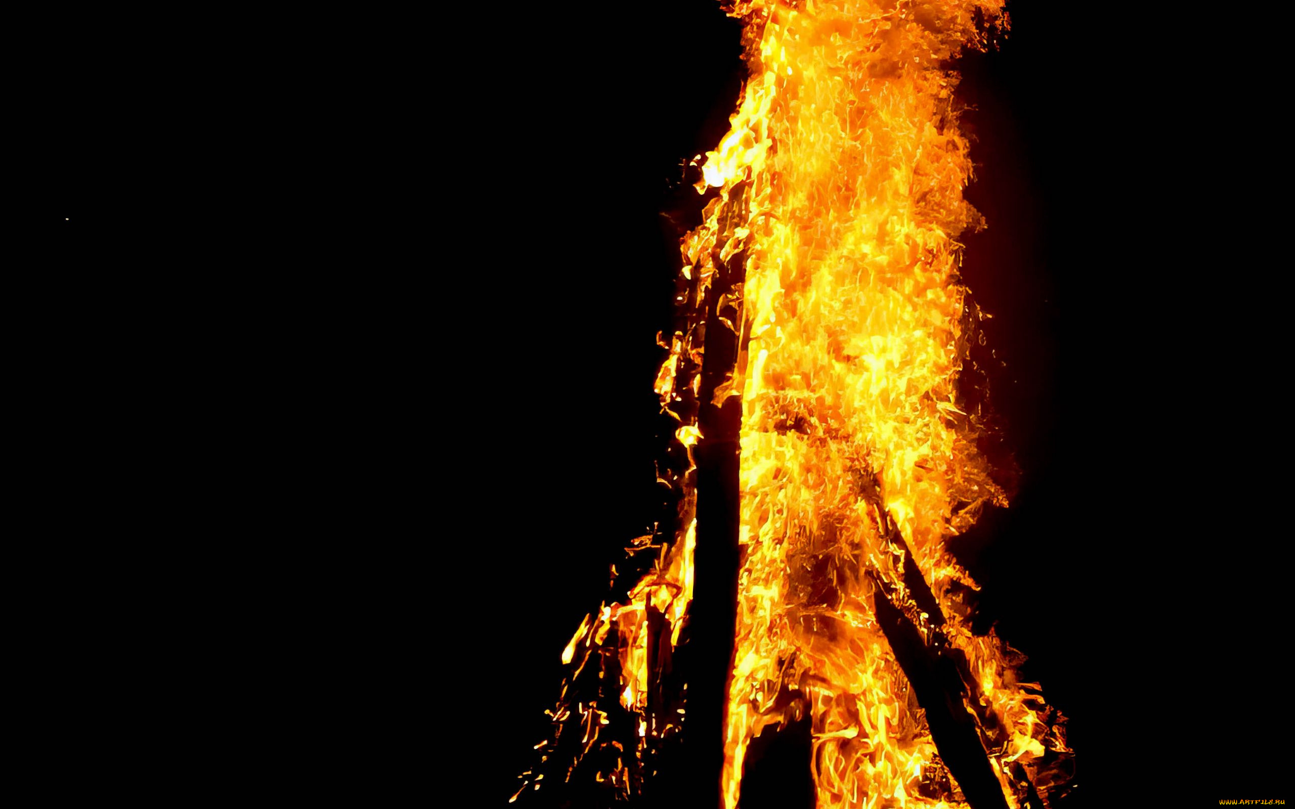 природа, огонь, дрова, пламя, костер