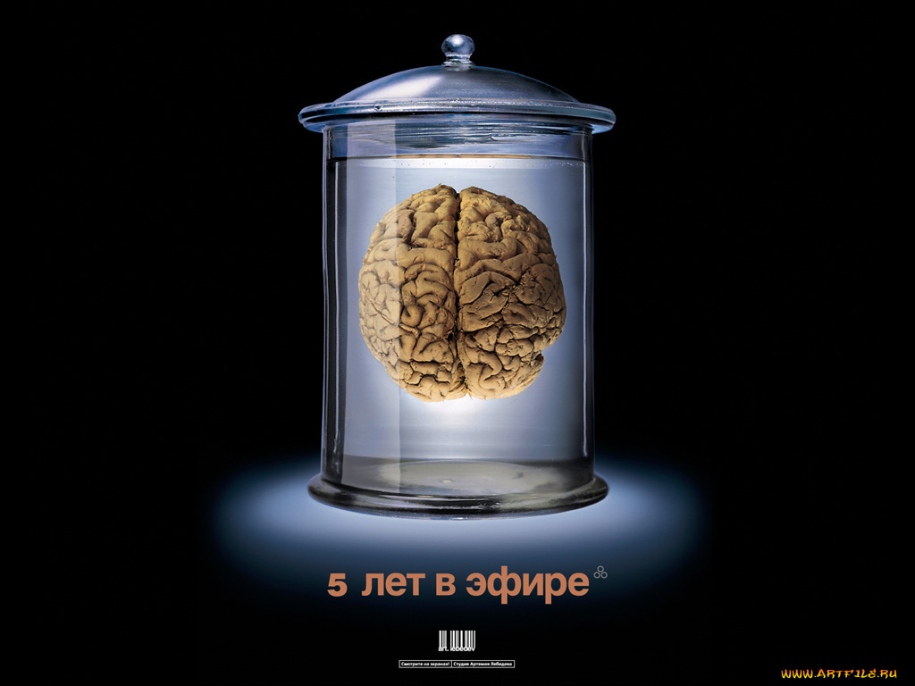 лет, эфире, юмор, приколы