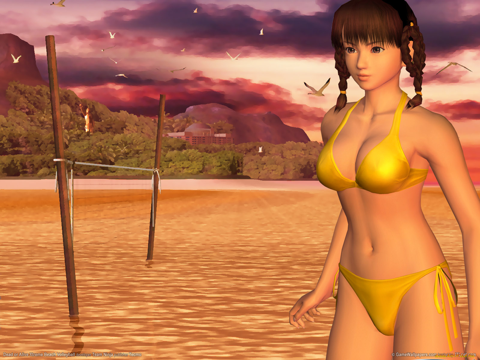 dead, or, alive, xtreme, beach, volleyball, видео, игры