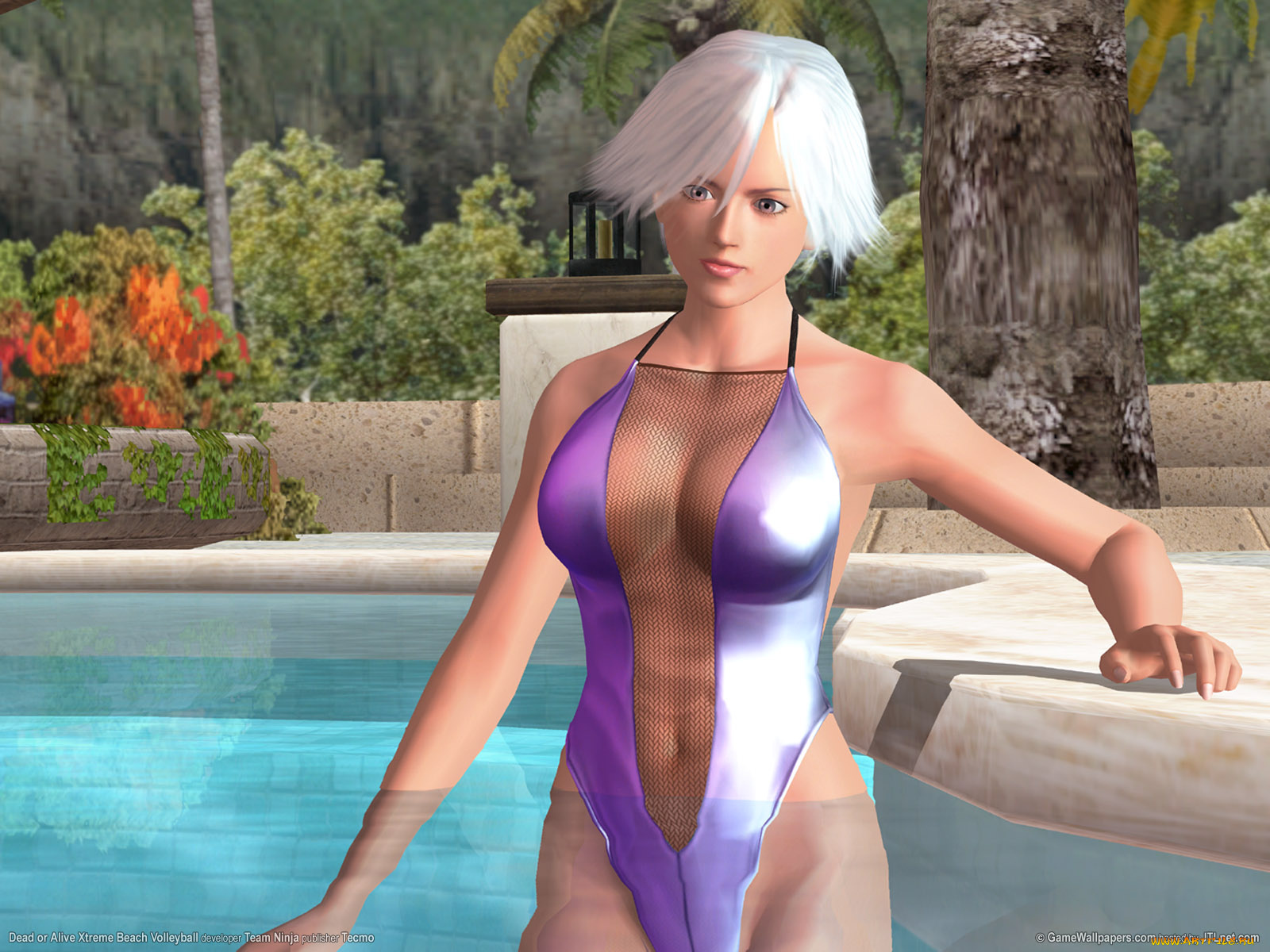 dead, or, alive, xtreme, beach, volleyball, видео, игры