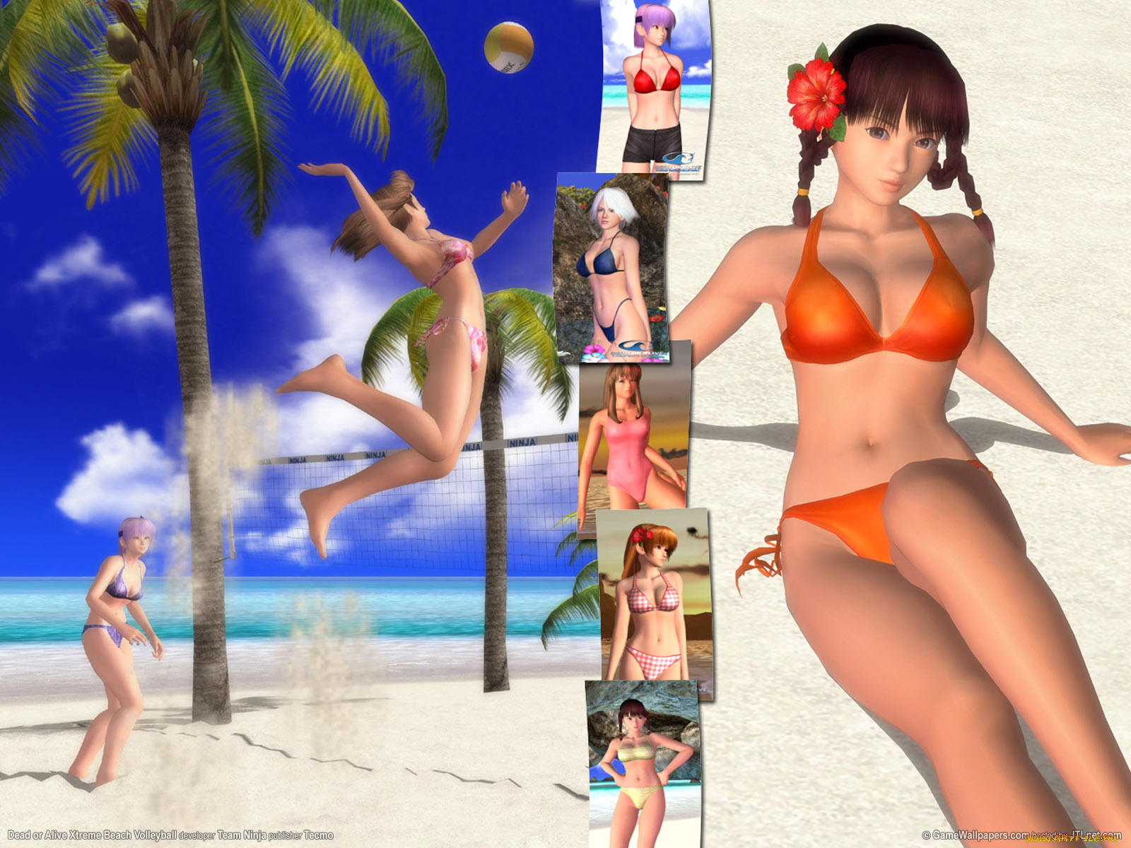 dead, or, alive, xtreme, beach, volleyball, видео, игры